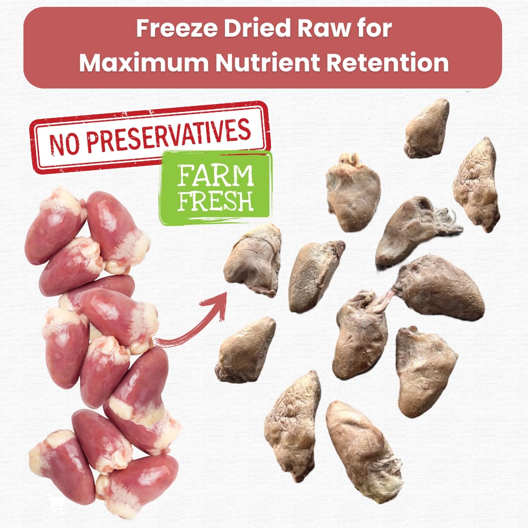 Ancestral Hunter Freeze Dried Chicken Hearts for Dogs and Cats - Single Ingredient Chicken Heart Treats - 3 OZ. Freeze Dried Raw