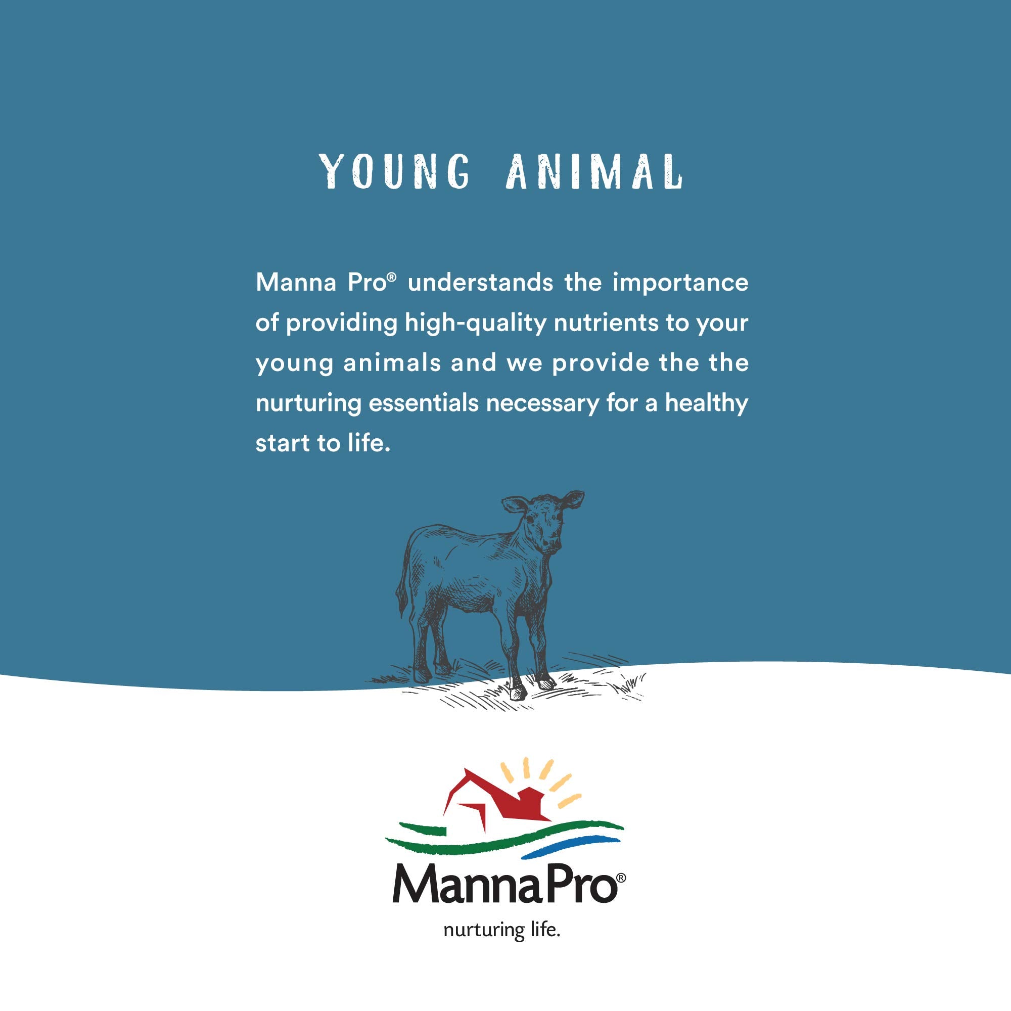 Manna Pro Pro-Force Fly Control for Horses, 6 Count - Effective Spot-On Treatment to Eliminate Flies and Pests