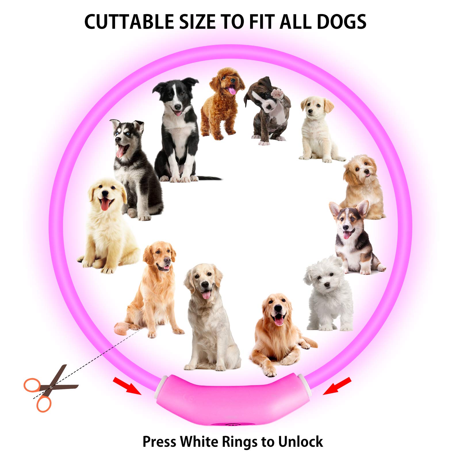 Novkin 2-Pack Led Dog Collar, Light Up Dog Collars,Rechargeable Dog Lights For Night Walking,Universal, Reusable Safety Necklace