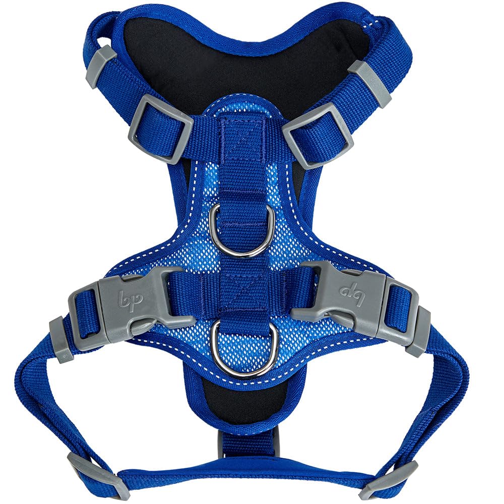 Blueberry Pet Soft & Comfy 3M Reflective Dog Harness Vest | Mesh Padded No Pull | Multi-Colored Stripe - Blue | Adjustable For S
