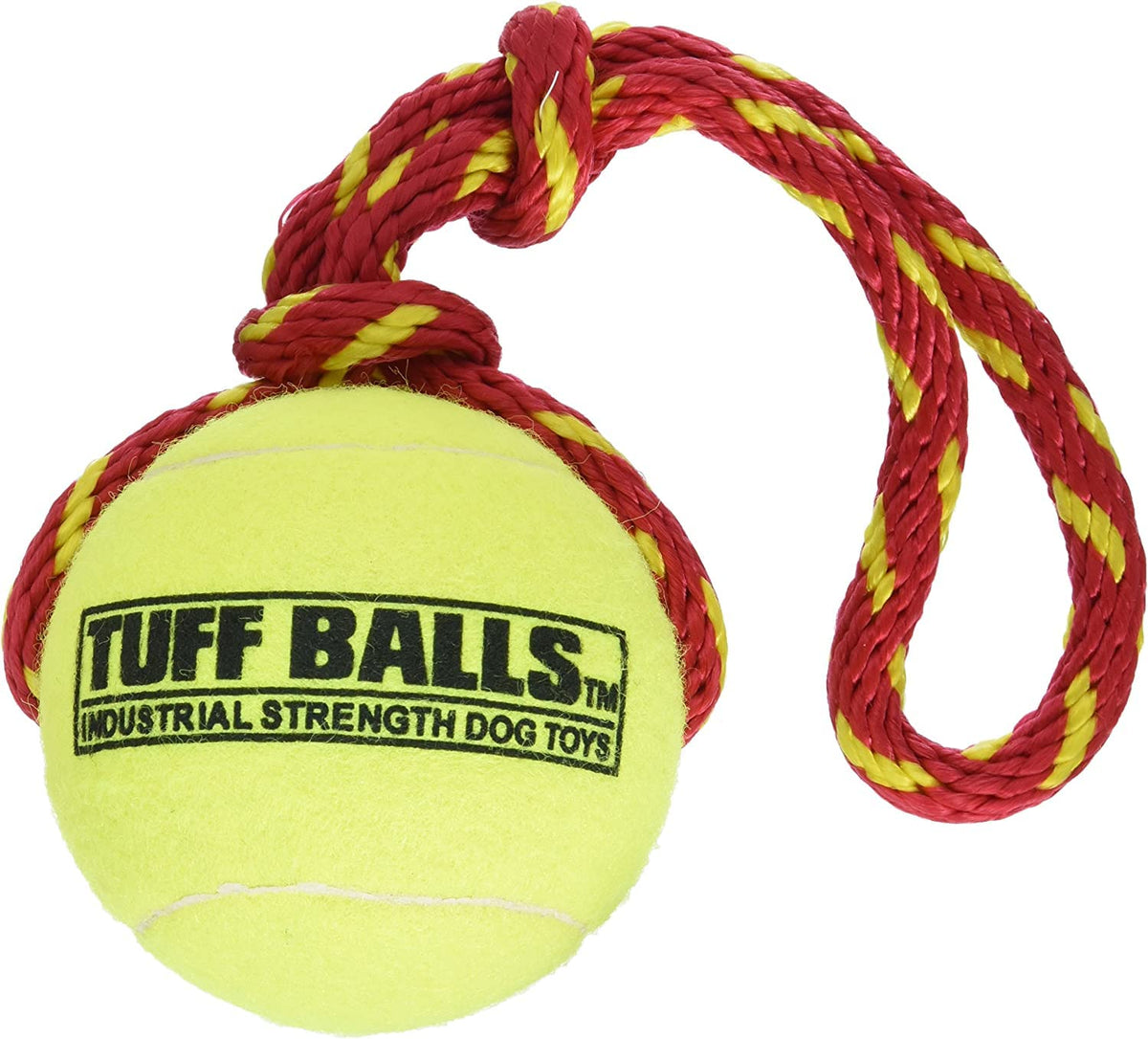 Petsport Giant Fling Thing Dog Toy, 4-Inch