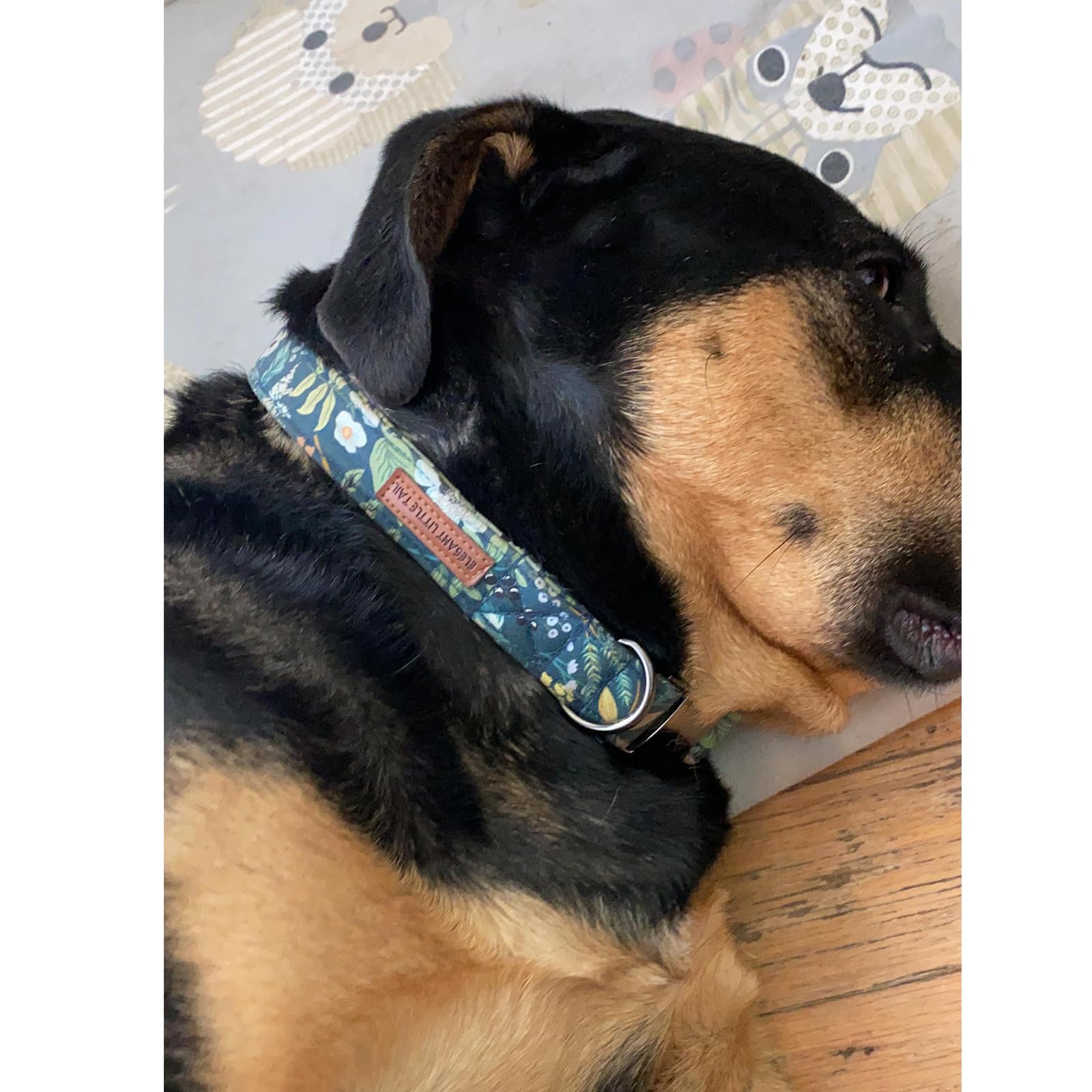 Elegant Little Tail Dog Collar, Floral Pet Collar Durable Darkblue Flower Dog Collars Male Or Female Holiday Pet Gift Adjustable