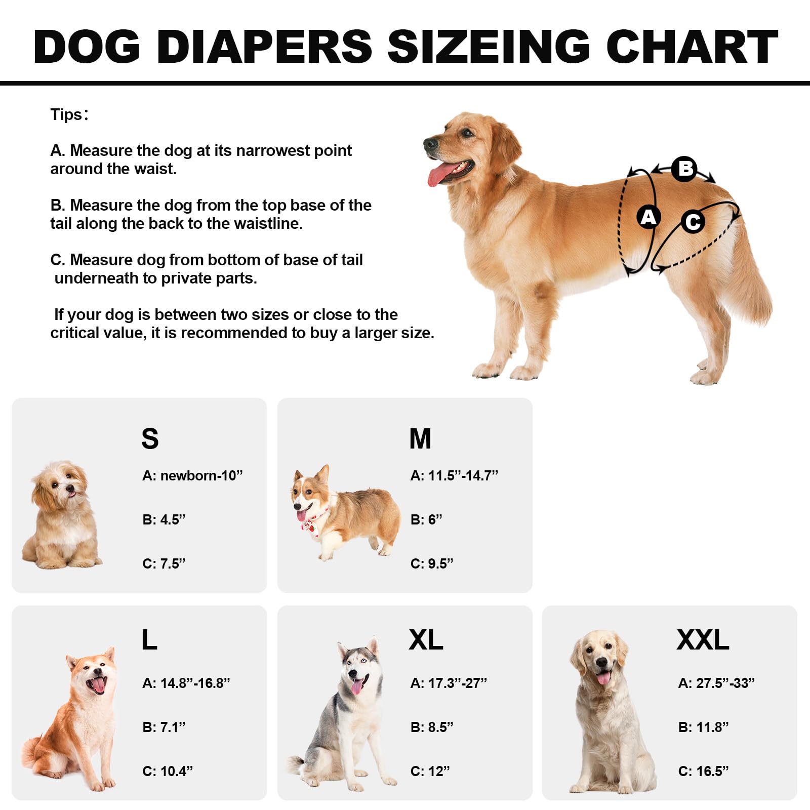 Reusable Dog Diapers Female Washable, Premium Doggie Diapers for Female Dogs, Pack of 3, Highly Absorbent Small Female Dog Diape