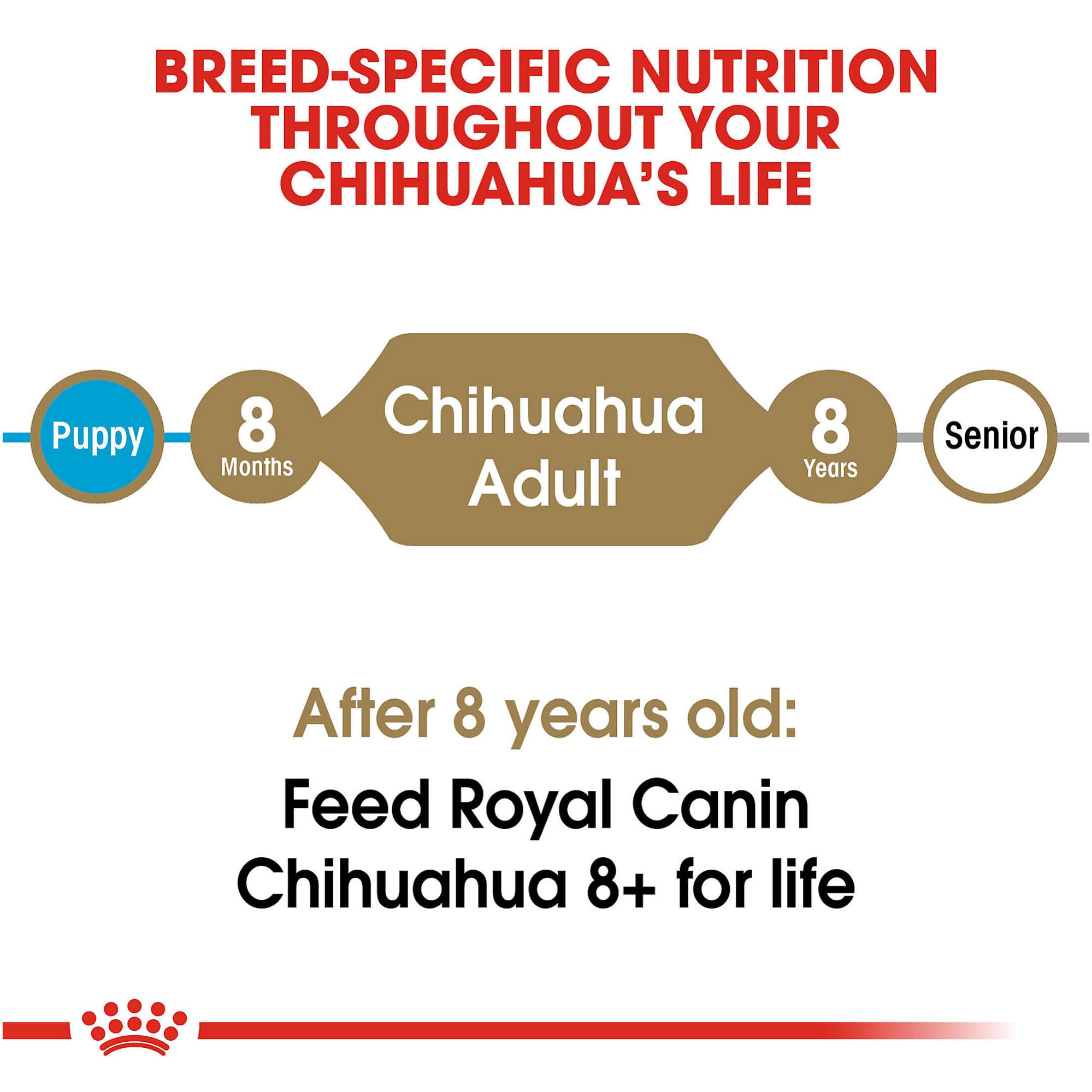 Royal Canin Chihuahua Adult Dry Dog Food, 2.5 lb bag