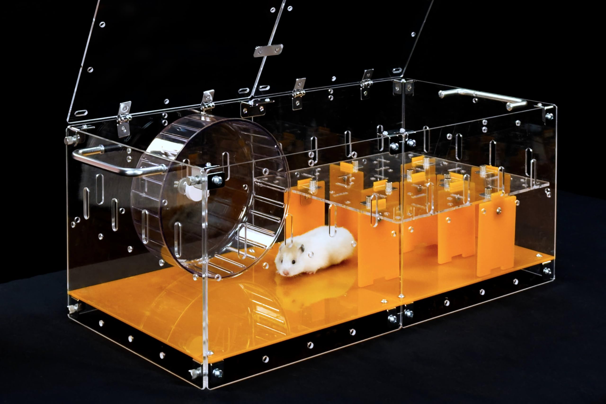 Guinealoft Acrylic Cage (Model-P3) - Small 2X1 Ft Enclosed Cage W/Lid & Bottom For Hamsters, Rats, Mice, Gerbils, Connectable, D