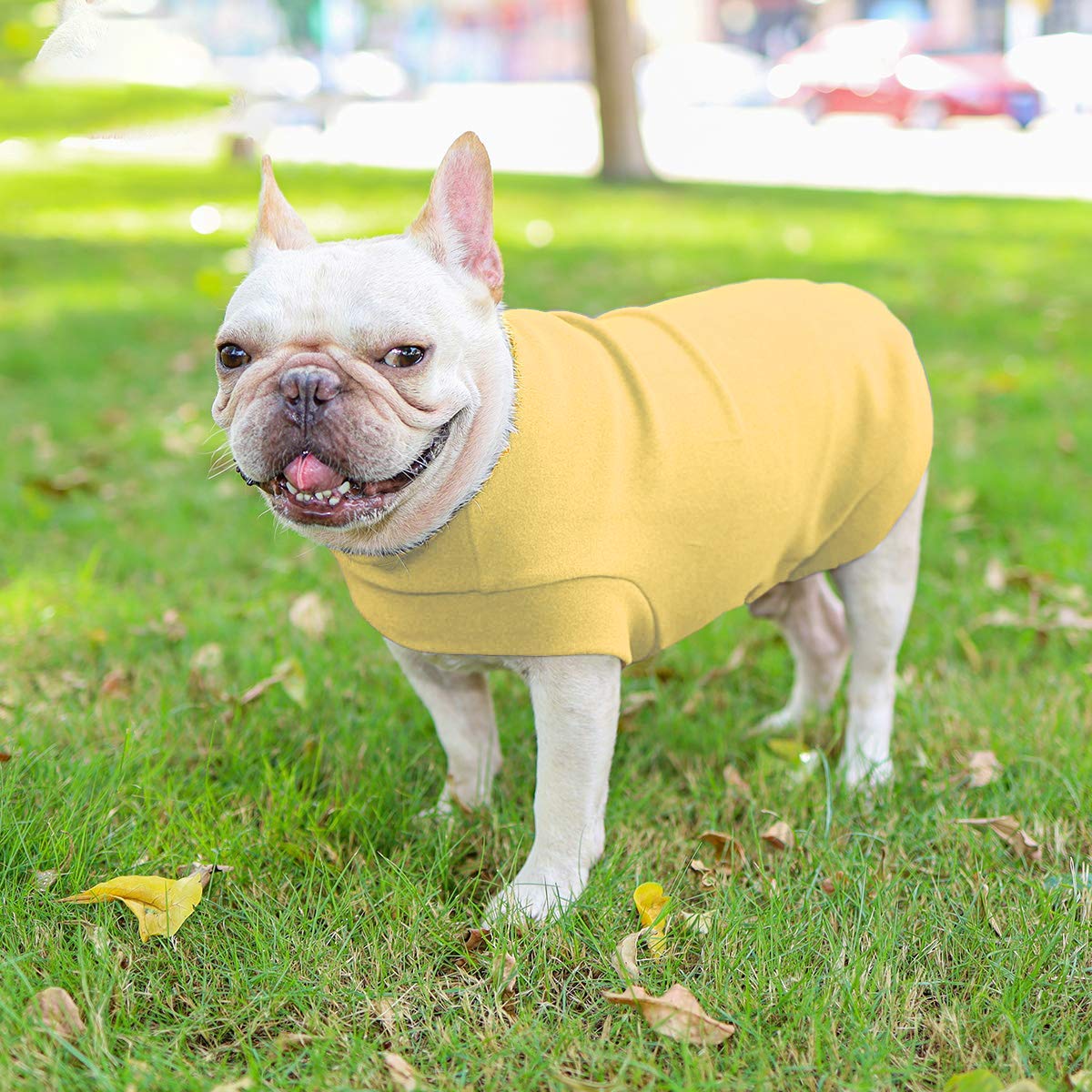 Small Dogs Fleece Dog Sweatshirt - Cold Weather Hoodies Spring Soft Vest Thickening Warm Cat Sweater Puppy Clothes Sweater Winter Sweatshirt Pet Pajamas For Small Dog Cat Puppy (Medium, Yellow)