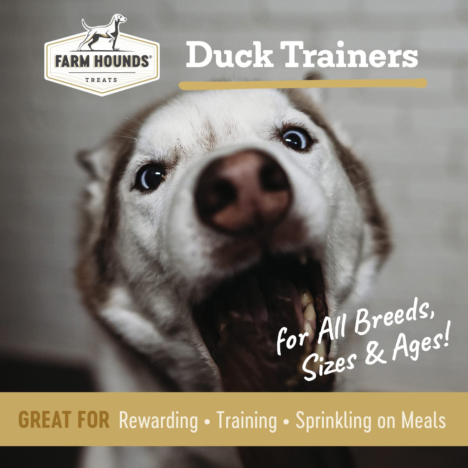 Farm Hounds Duck Trainers - Premium Jerky Treats for Dogs - 4.5 oz - 100% Humanely Raised - No Fillers - Made in USA