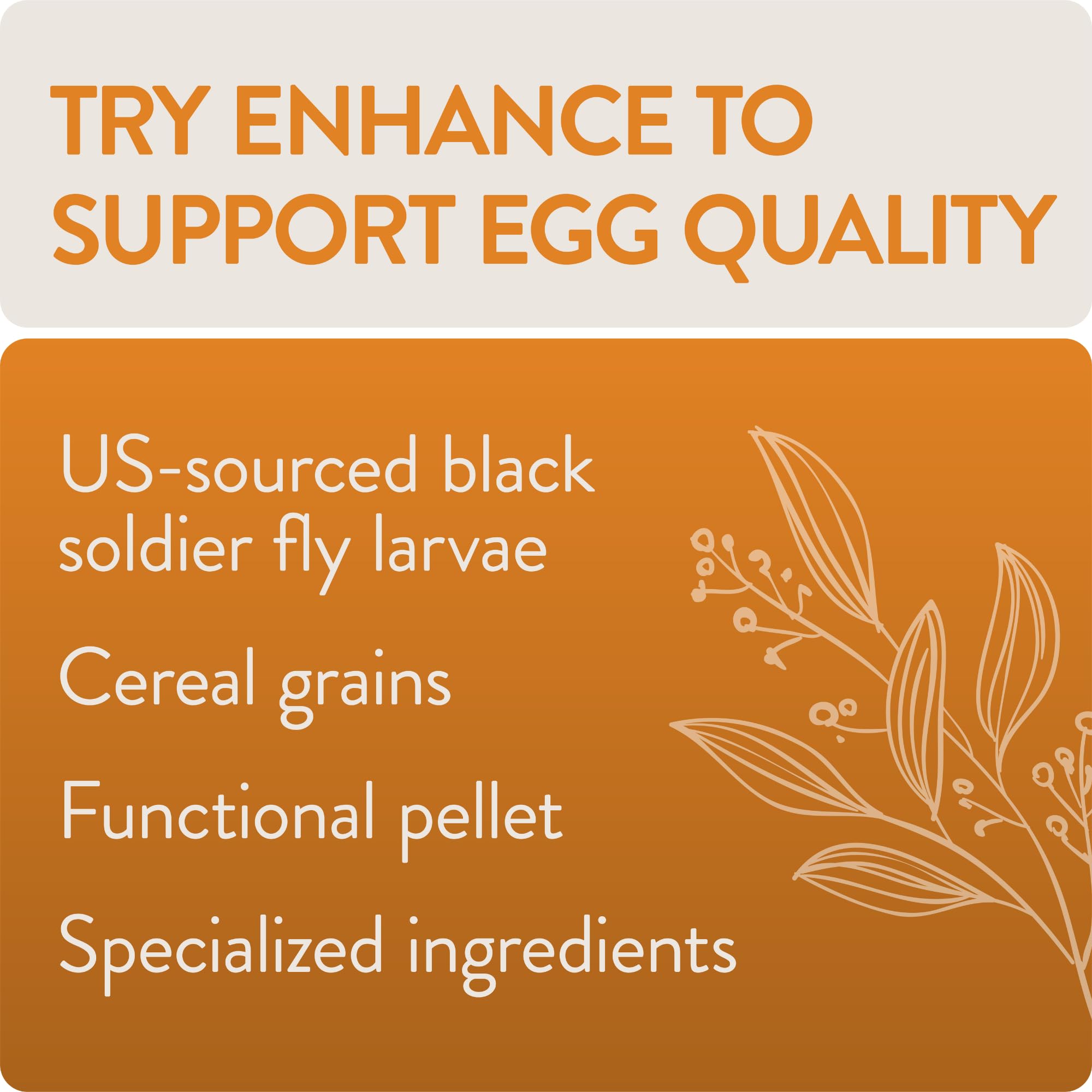 FLOCKLEADER Enhance, Functional Poultry Treats for Egg Production & Quality, 3.5 lb
