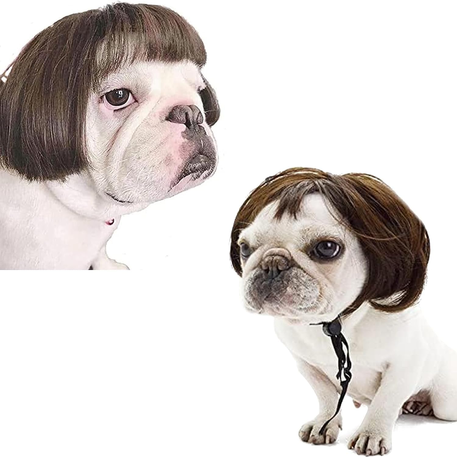 Funny Dog & Cat Cosplay Wigs - Small To Large Sizes, Perfect For Halloween, Christmas, Parties & Festivals