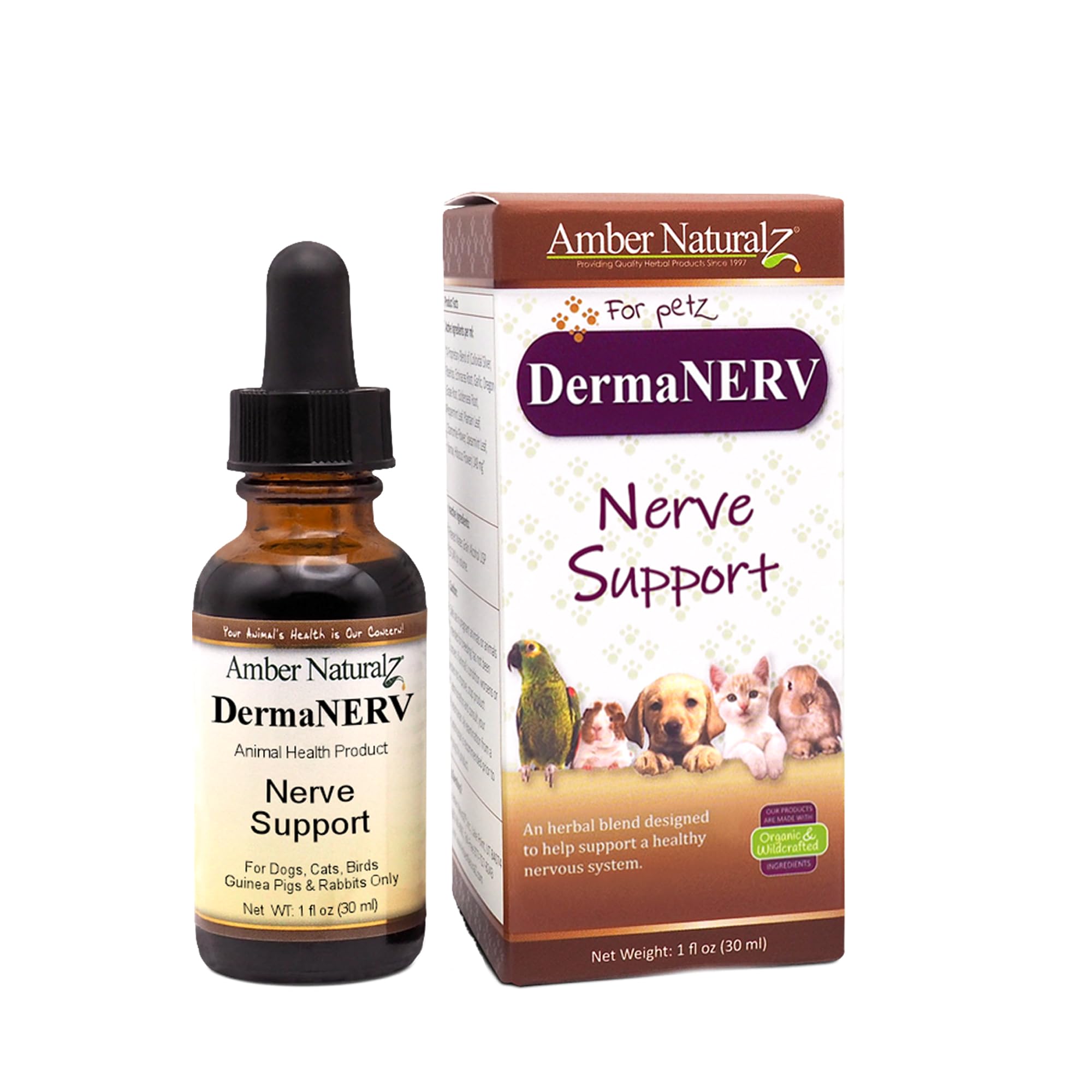 Amber NaturalZ DermaNERV Herbal Supplement for Dogs, Cats, Birds, Rabbits, and Guinea Pigs | Supports Central Nervous System | B