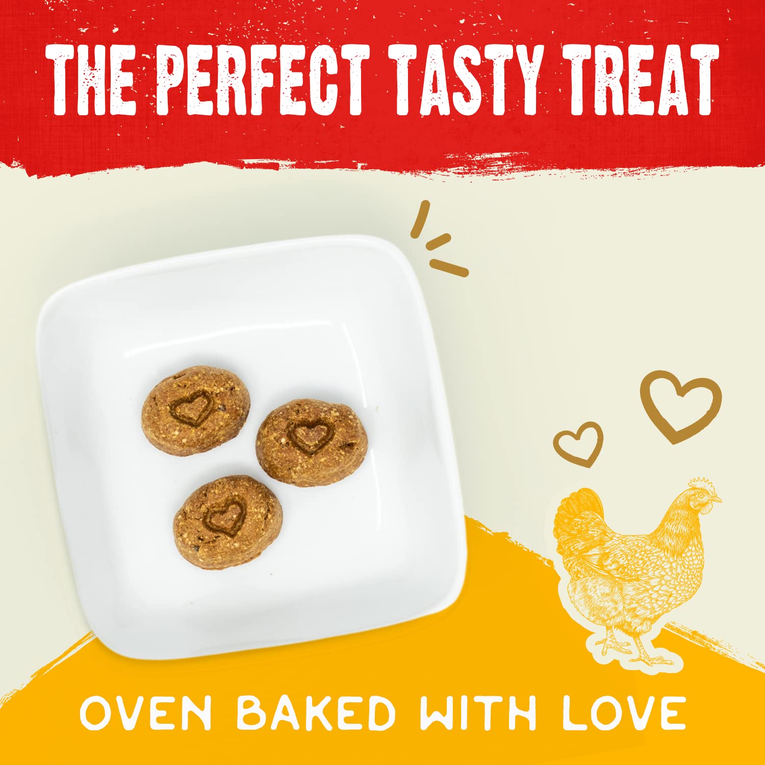 Stella & Chewys Freeze-Dried Raw Coated Dog Biscuits - Cage-Free Chicken Recipe - Protein Rich, Grain Free Dog & Puppy Treat -