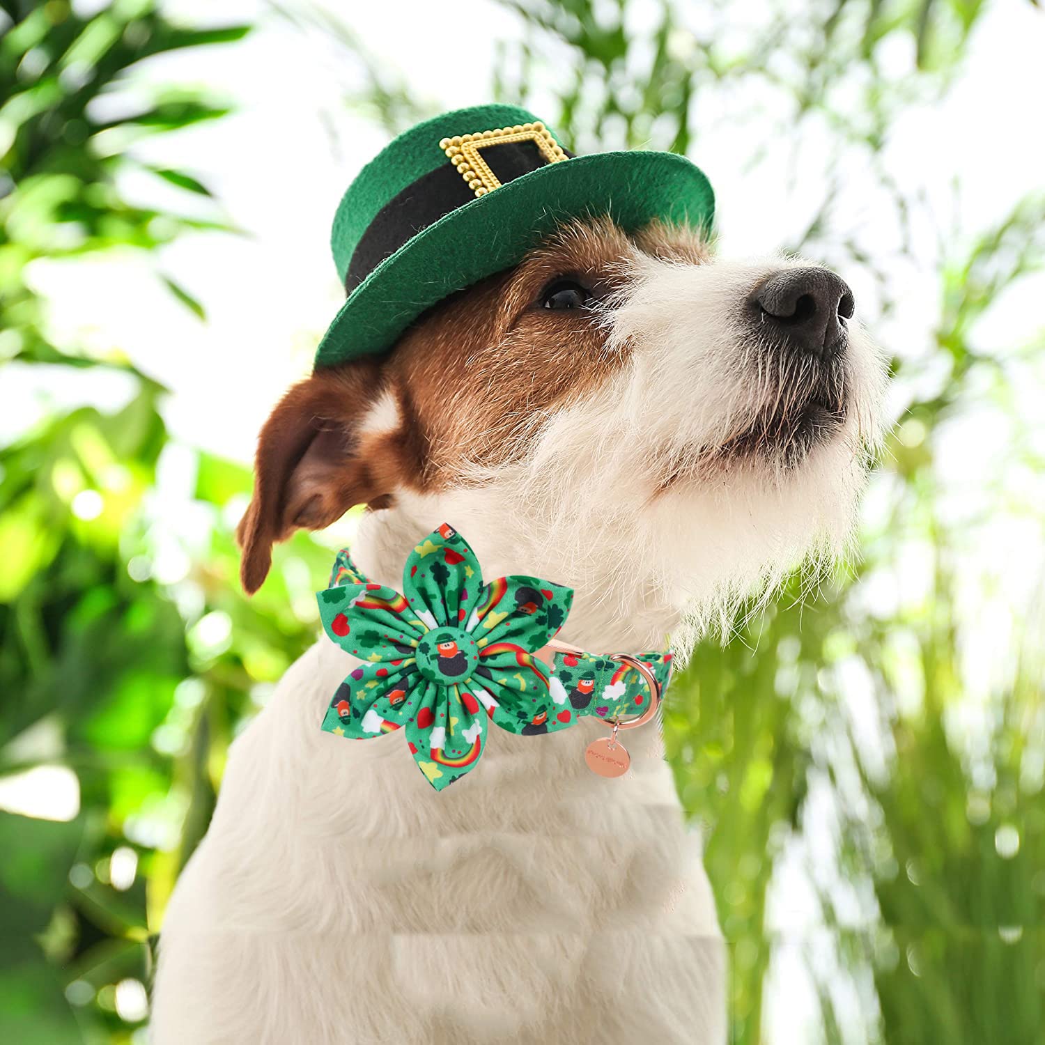 Dogwong Green Lucky Clover Shamrock Dog Collar With Flower, Soft Adjustable St. Patrick'S Day Lucky Charm Puppy Collar For Small