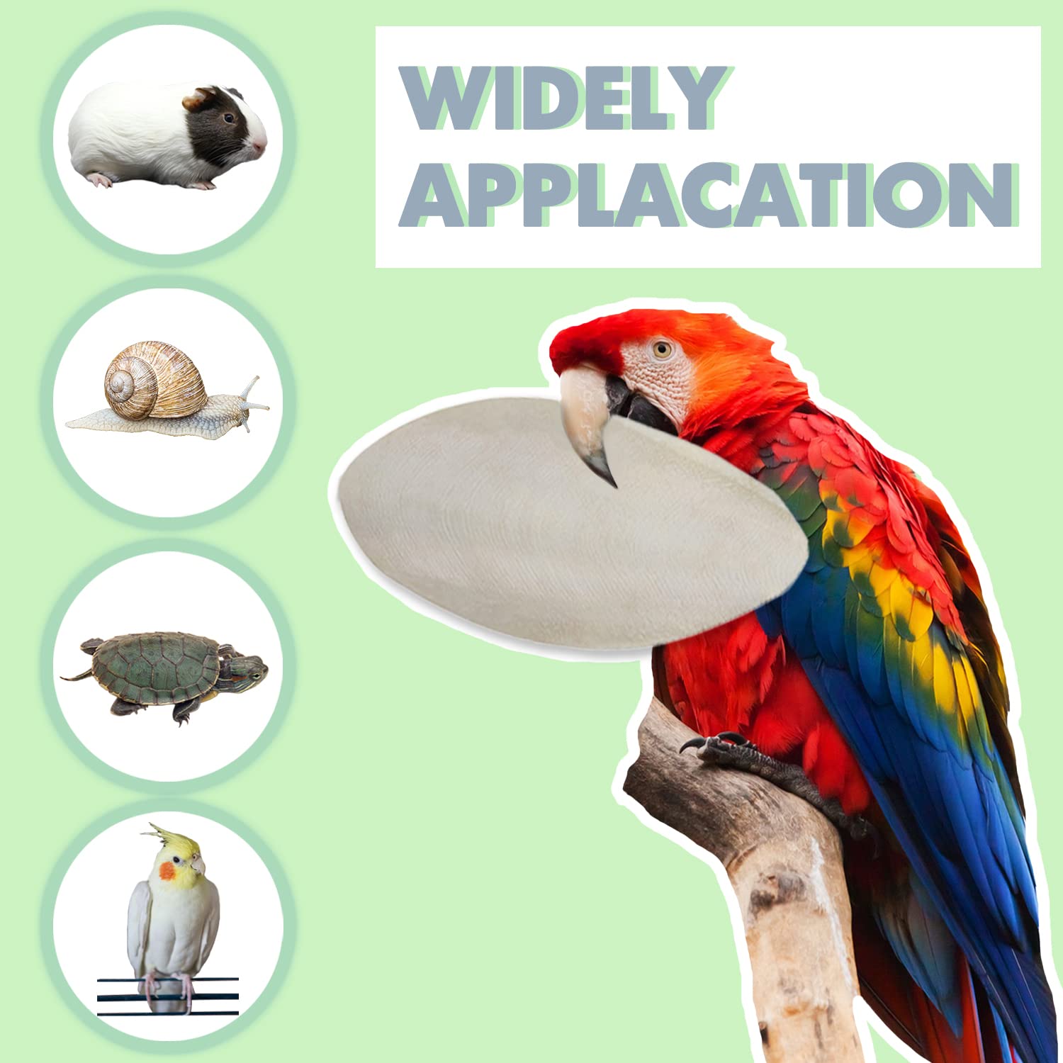 Jmxus 5-5.5 Bird Cuttlebone for Parakeets, Cuddle Bone with Metal Holder, Cuttlefish Bone for Sharp Beaks, Natural Birds Calciu