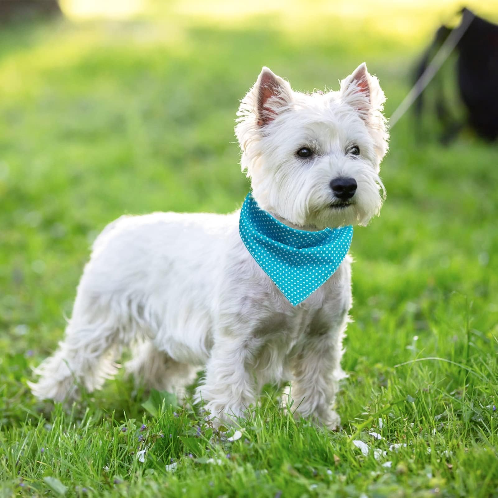 Pawchie Dog Bandanas Small Reversible Styles Pet Triangle Scarf Bibs - Adjustable With Two Snaps - Kerchief Set Accessories For Dogs, Puppy, Cats Red
