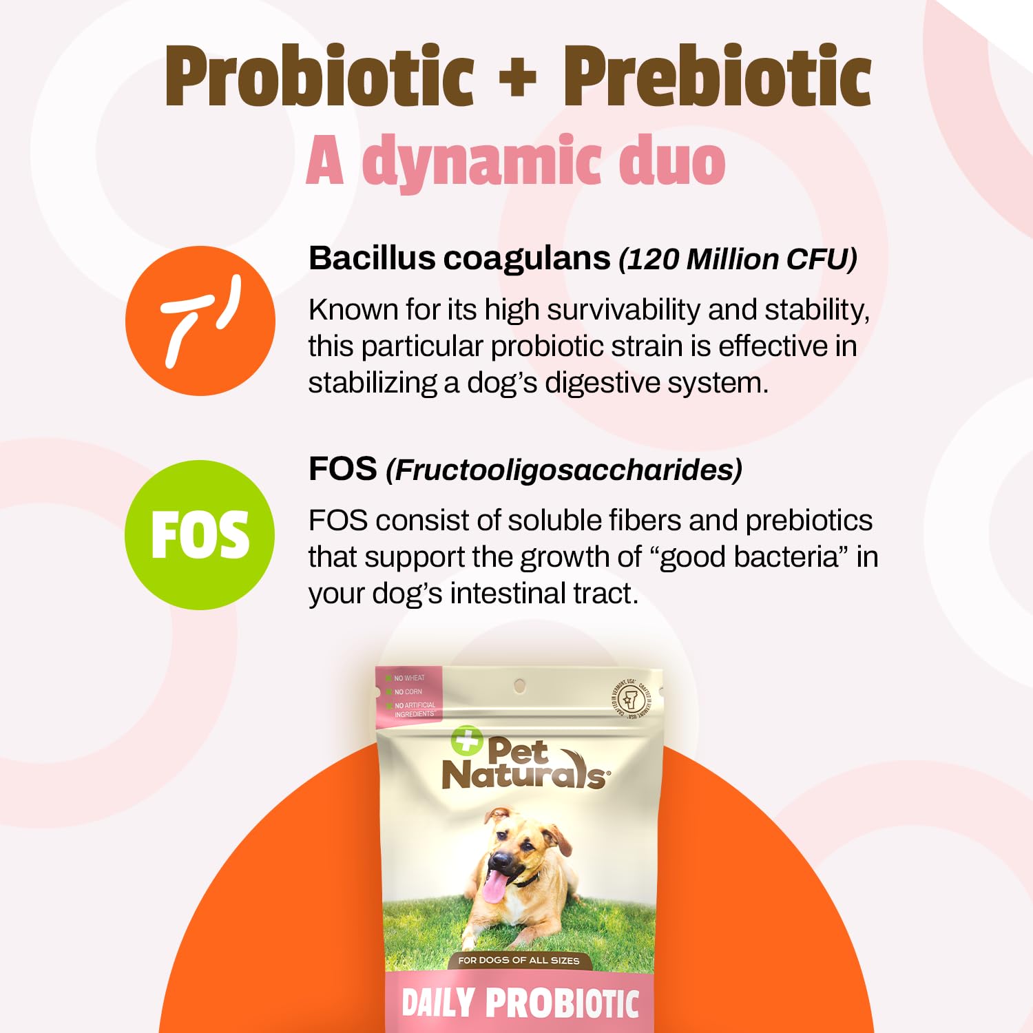 Pet Naturals Daily Probiotic for Dogs, 120M CFUs - Pre and Probiotics for Dogs Digestive Health, Gut Health, Immune Support, Dia