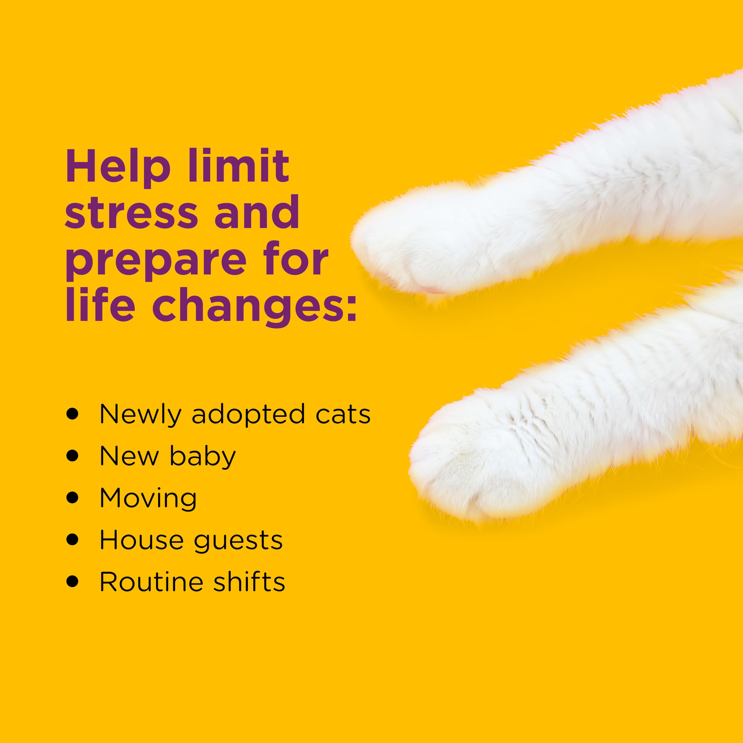 Comfort Zone 60 Day Starter Kit: 1 Cat Calming Diffuser & 2 Refills; Cat Pheromones Help Anxiety; Reduce Stress, Urine Marking,