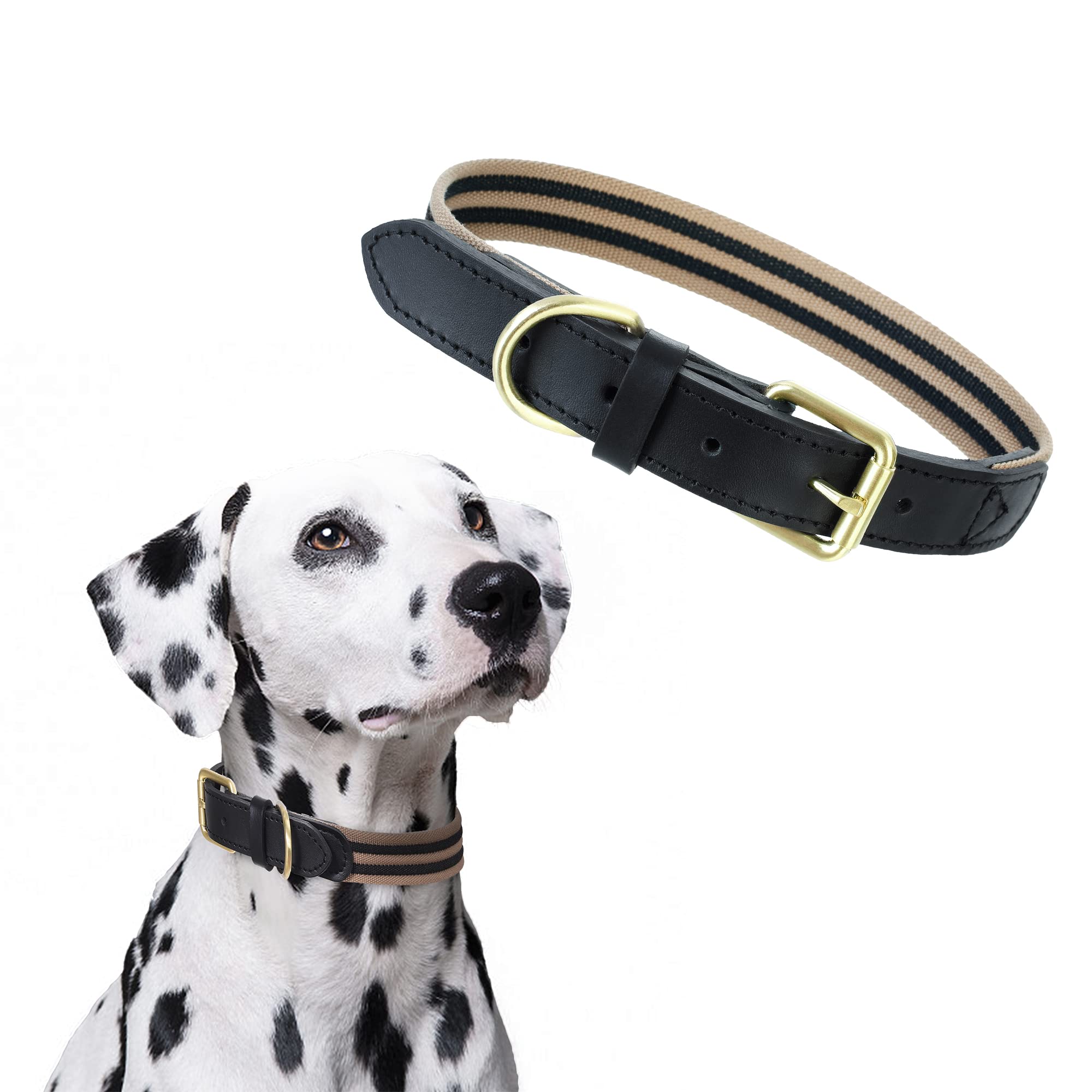 Mile High Life | Genuine Leather Dog Collar | Heavy Duty Canvas Dog Collars With Adjustable Rust-Proof Metal Pin Buckle | Boy Do