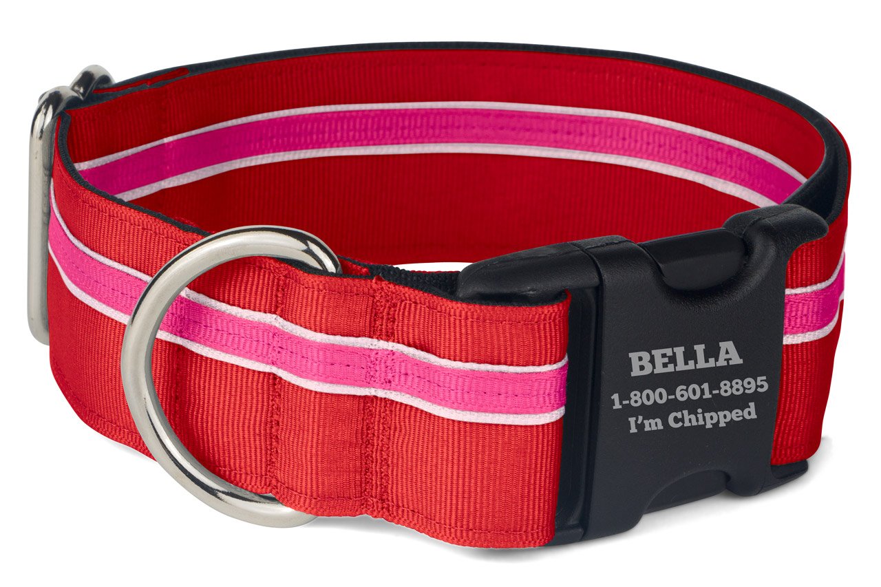 If It Barks Personalized 1.5'' Striped Dog Collar - Engraved Name - Custom Size, Shortcake