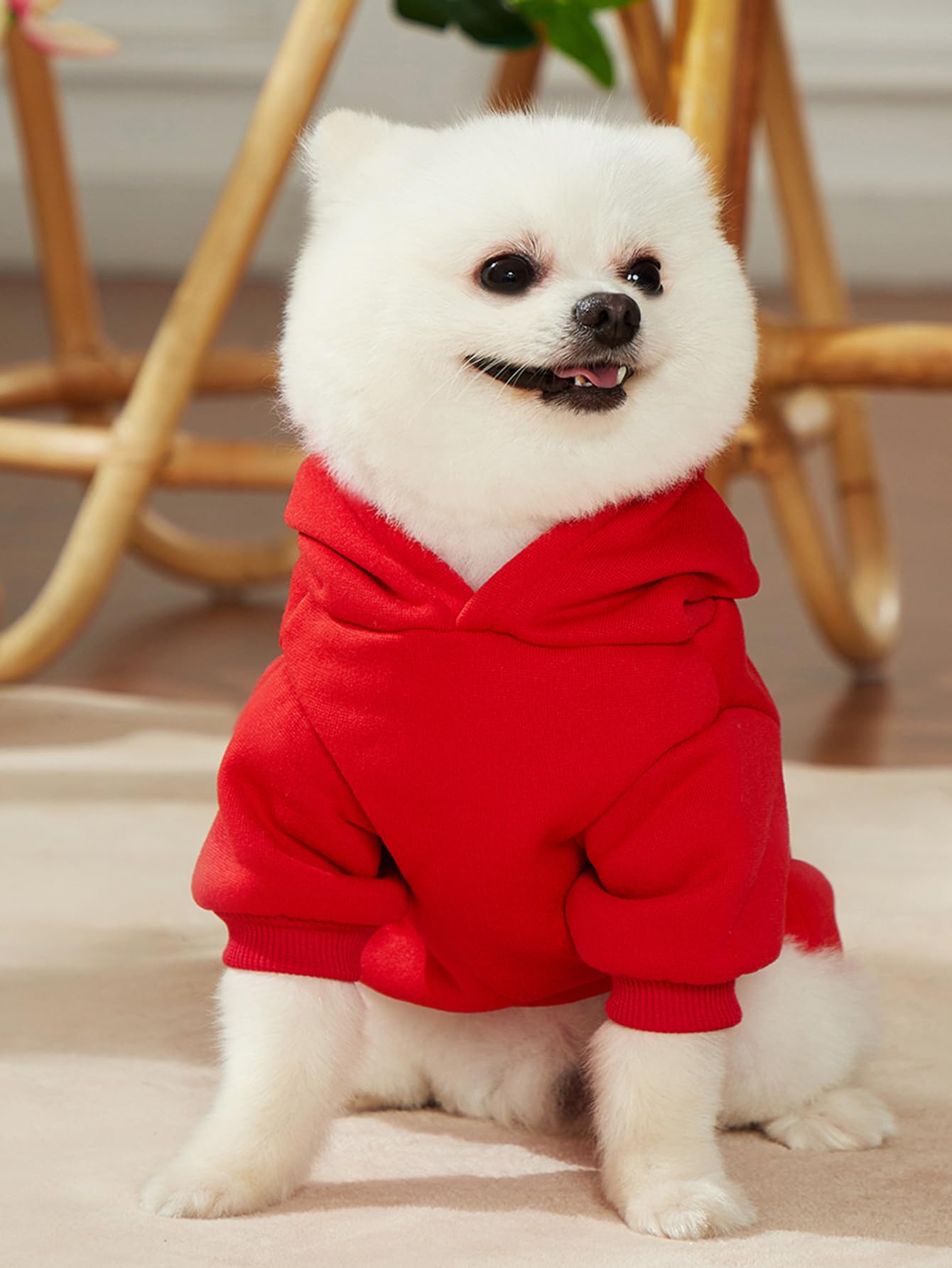 Qwinee Cartoon Bear Print Dog Hoodie Dog Sweatshirt Cat Shirt Apparel Winter Warm Dog Clothes For Puppy Kitten Cat Small Medium