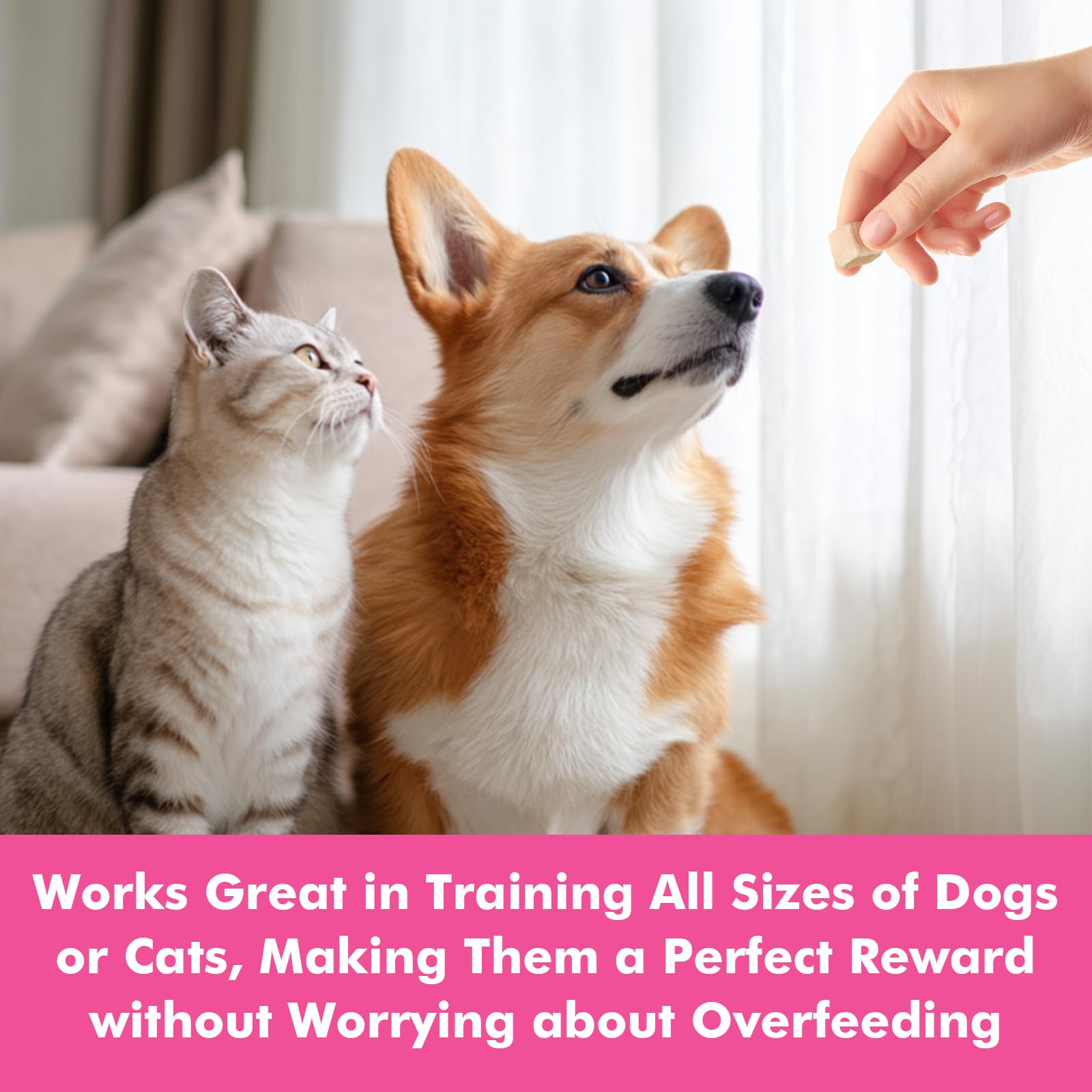 Puddonio Freeze Dried Cats & Dogs Raw Treats, All Natural Single Ingredient Chicken Breast, High Protein Healthy Pet Training Tr