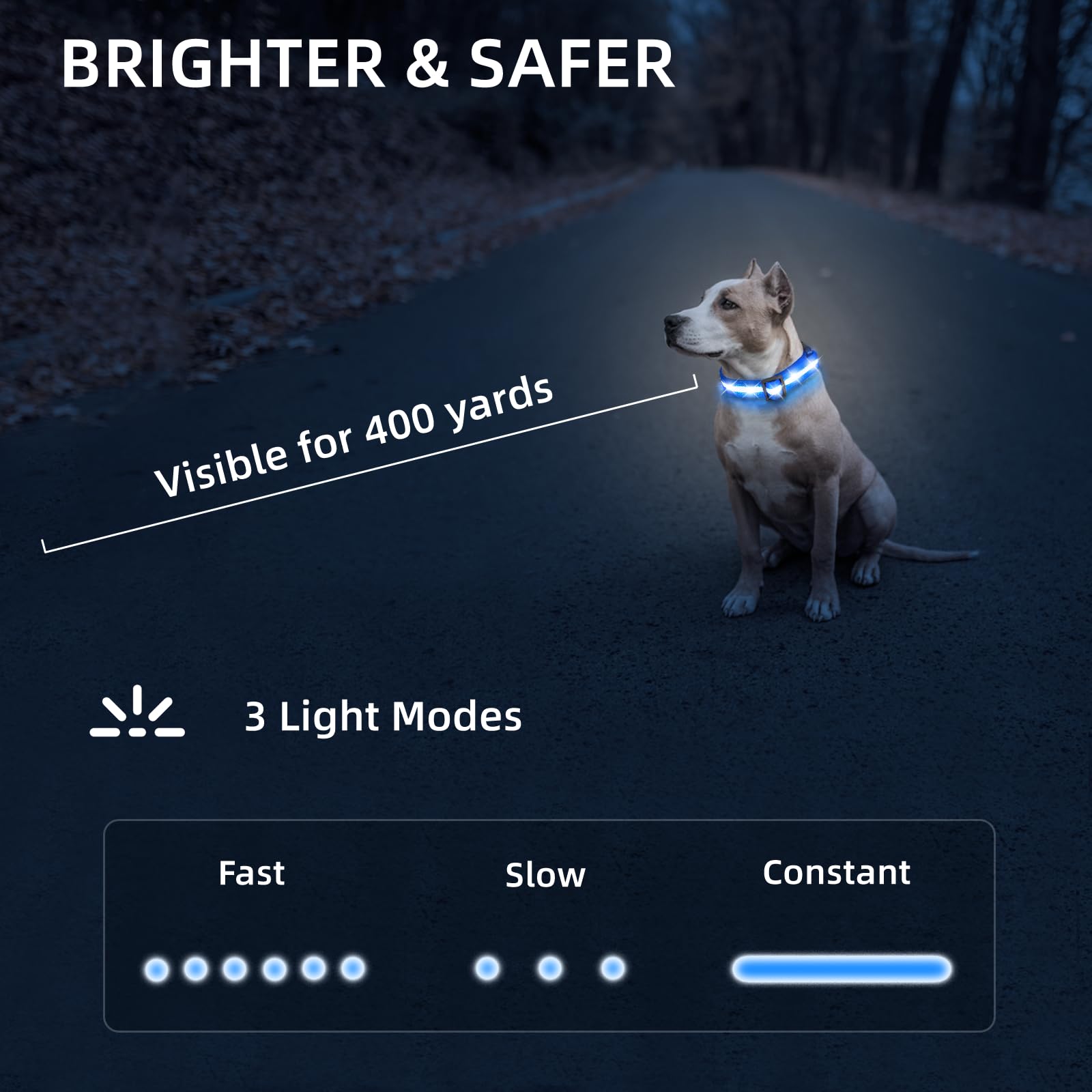 Petisay Light Up Dog Collar - High Visibility & Durable Nylon Material - Usb C Rechargeable & Waterproof Led Dog Collar For Nigh