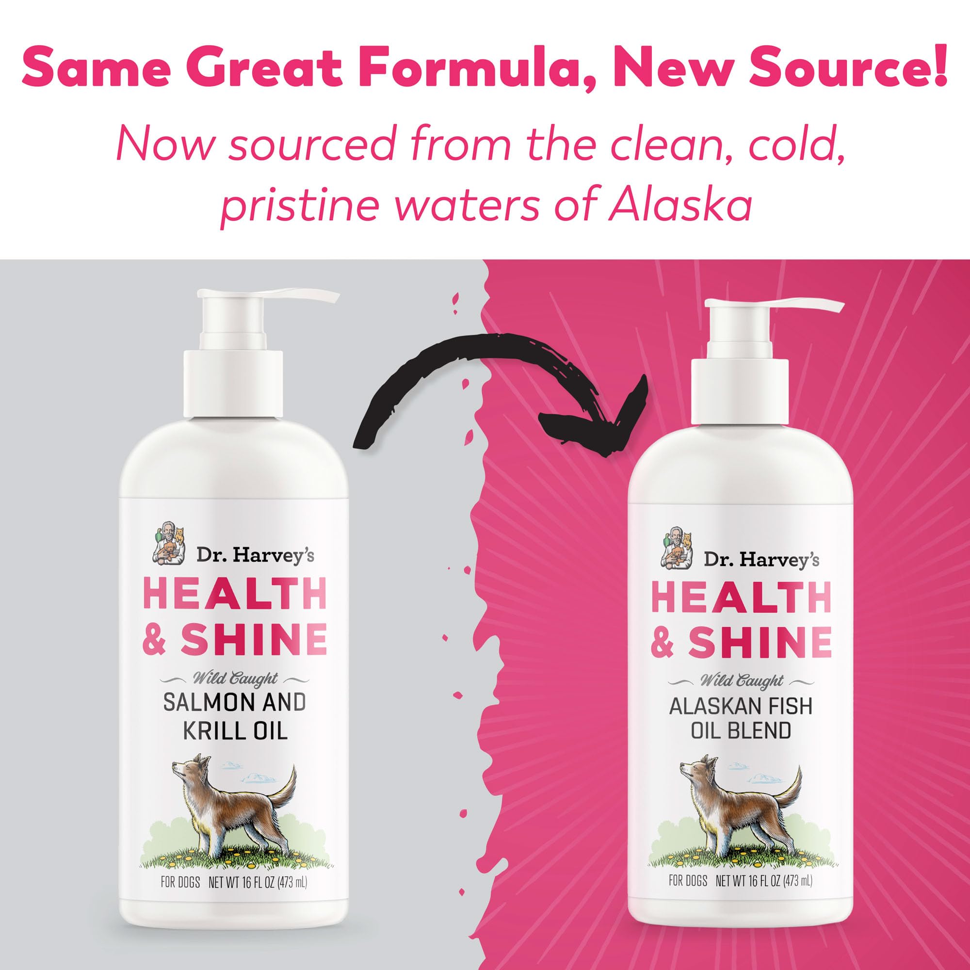 Dr. Harveys Health & Shine Alaskan Fish Oil Blend for Dogs - Supports Healthy Heart, Brain, and Eyes (16 fl. oz.)