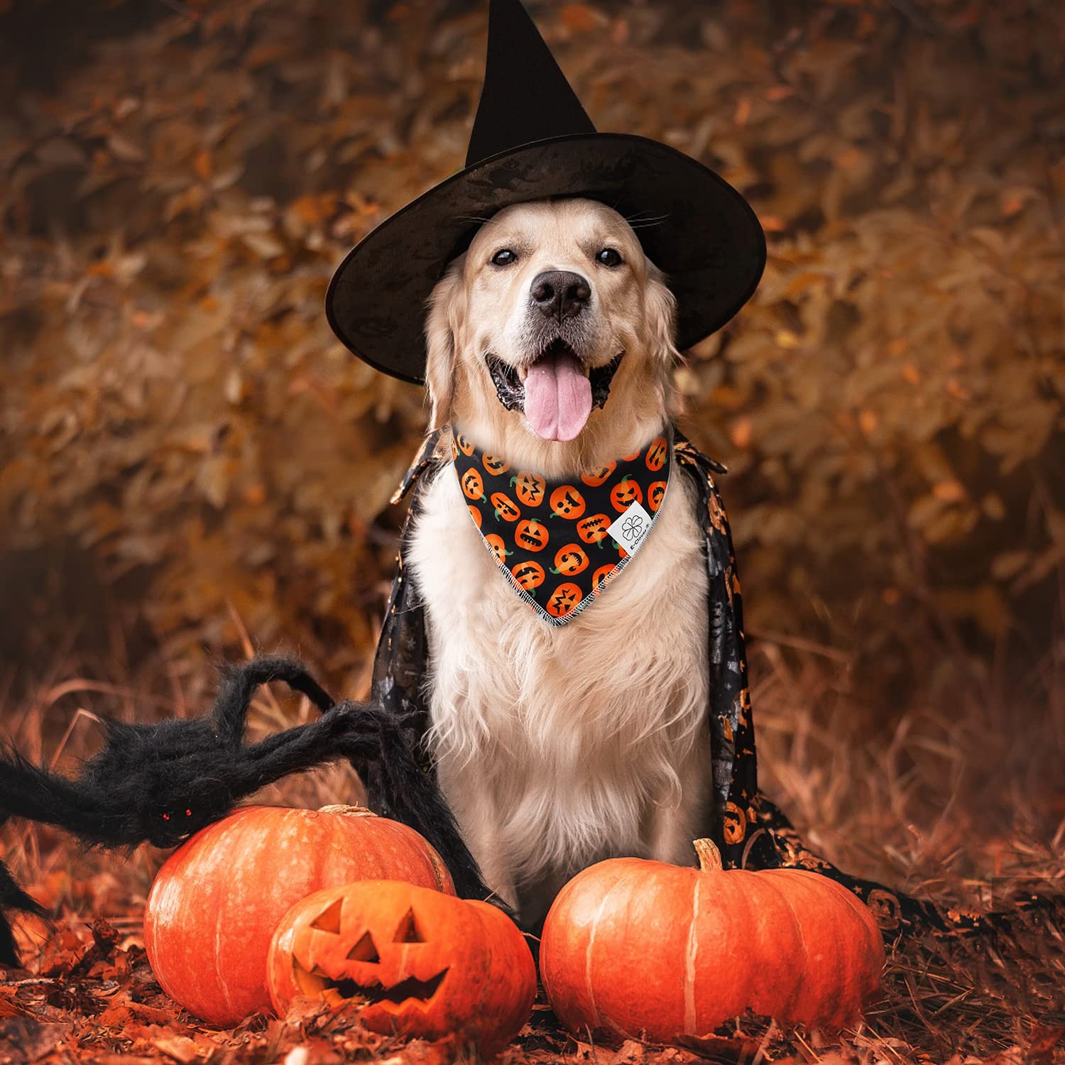 Thanksgiving Dog Bandanas & Matching Scrunchie Set Pumpkin Dog Scarf Kerchiefs Pet Outfit For Medium Large Dogs Owner Mom Orange Black Costumes