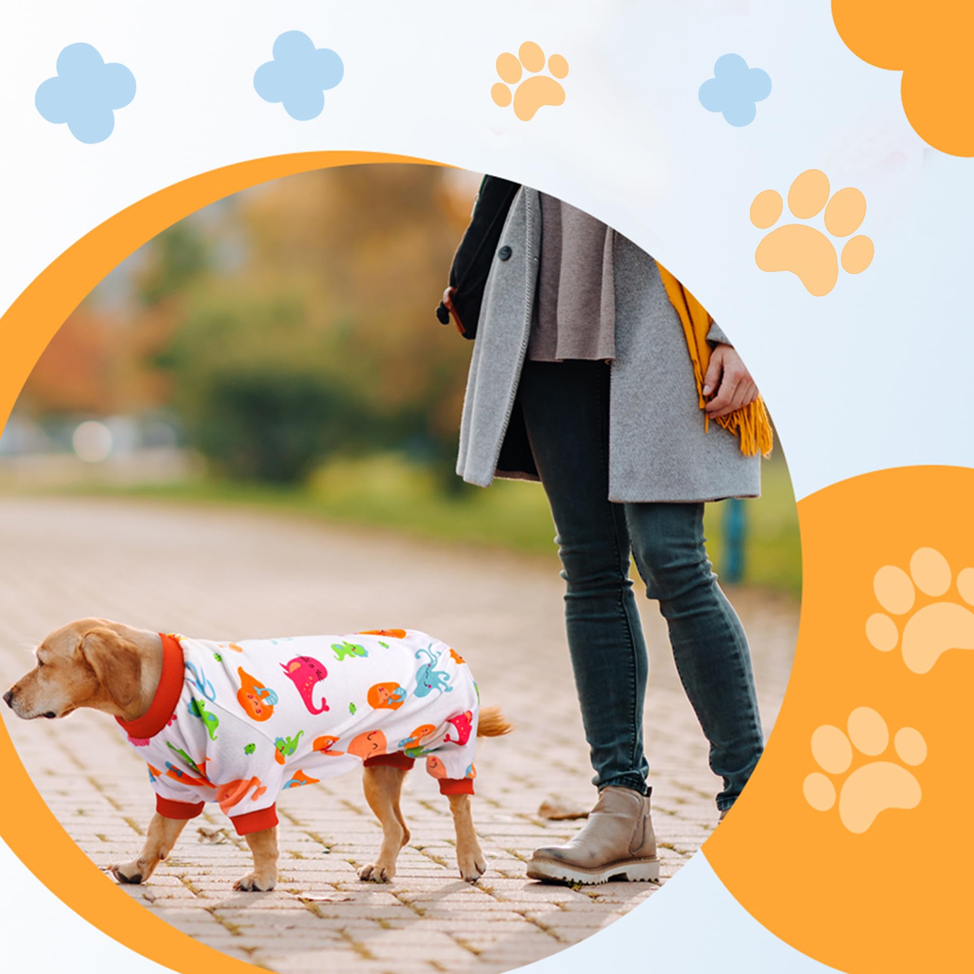 Uratot 5 Pieces Puppy Dog Pajamas Pet Jumpsuit Soft Puppy Rompers Pet Dog Cute Clothes Onesies Puppy Bodysuits For Pet Puppy Dog Cat, 5 Styles (Medium)