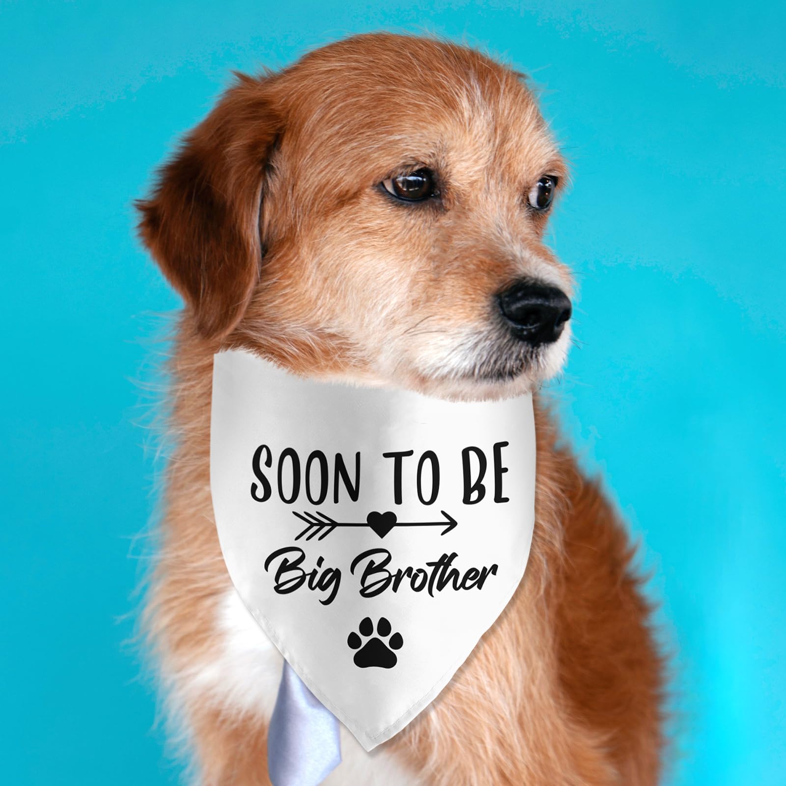 Lmaurrizt Soon To Be Big Brother Dog Bandana Pregnancy Announcement Dog Bandana Pet Scarf Pet Accessories For Pet Dog Lover Preg