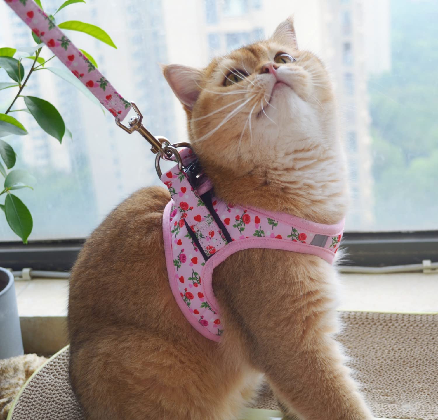 Moonpet Step in Valentine s Day Dog Harness Leash Set- All Weather Reflective No-Pull Floral Pattern Padded Mesh Vest Harness f