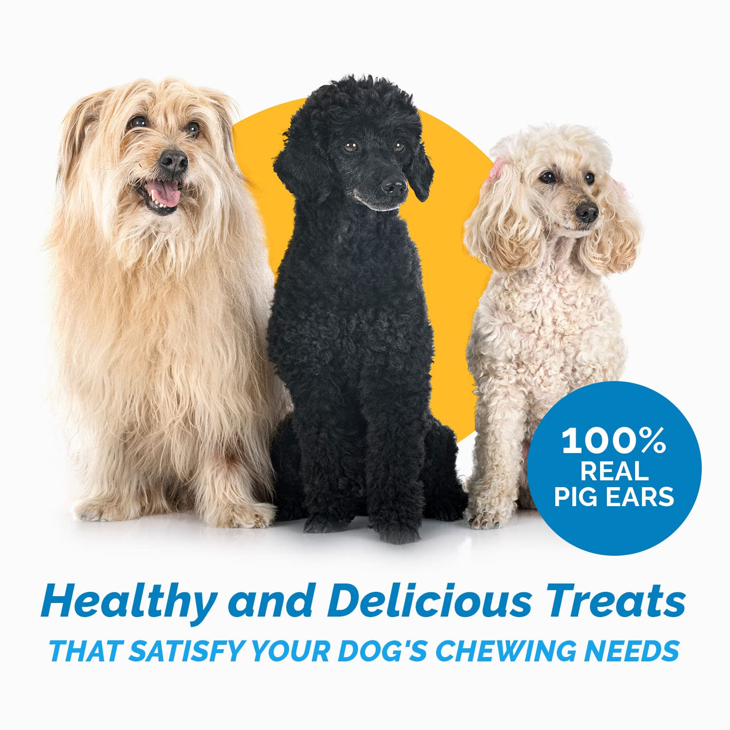 123 Treats Pig Ears for Dogs - 100% Natural Long Lasting Pork Dog Chews with Delicious Dog Chew Treat, Ideal for All Chewers, He