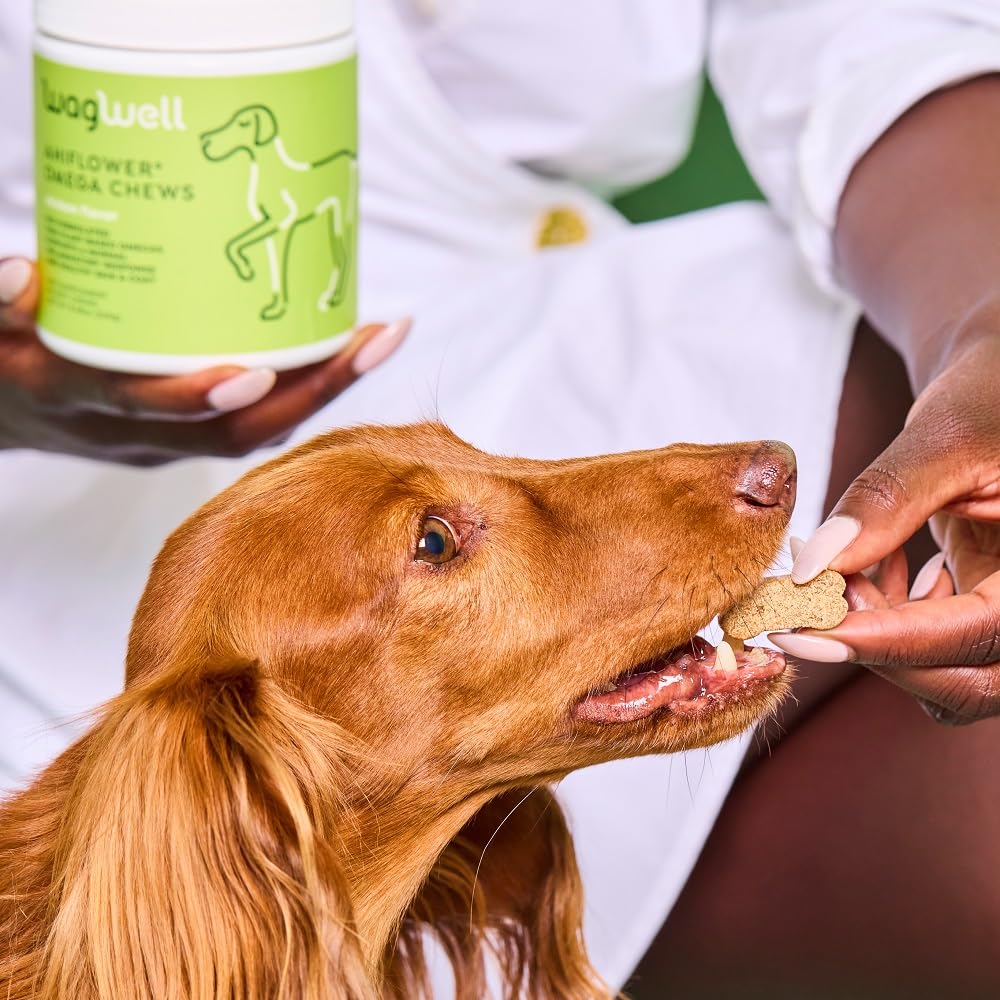 WagWell Ahiflower Omega Oil Dog Chews - Vet-Formulated Skin, Coat, Hip and Joint - Plant-Based Omega 3, 6 and 9 Supplement - Nat