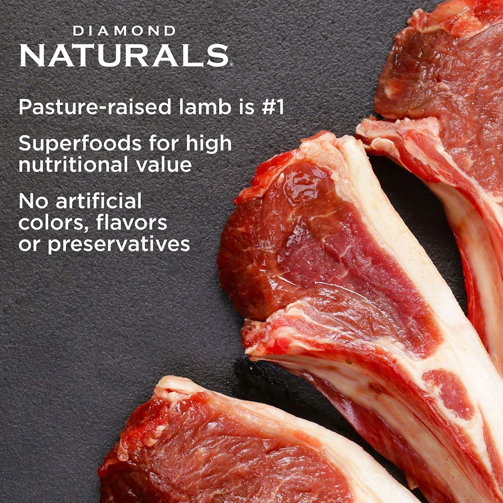Diamond Naturals Large Breed Puppy Real Lamb Recipe Premium Dry Dog Food, 6 lb