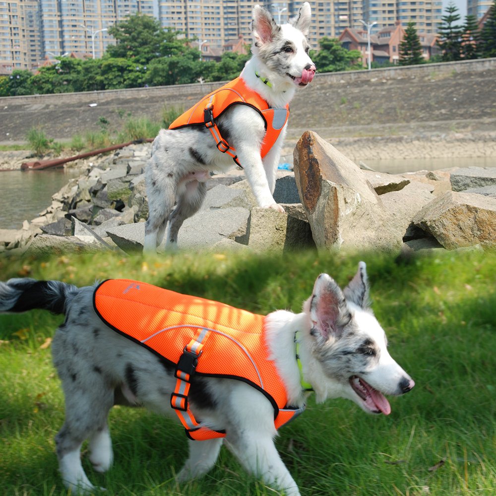 Smartelf Dog Cooling Vest,Dog Cooling Coat Evaporative Swamp Cooler Jacket Safety Reflective Vest For Large Dogs Walking Outdoor Hunting Training Camping Orange-Xxl