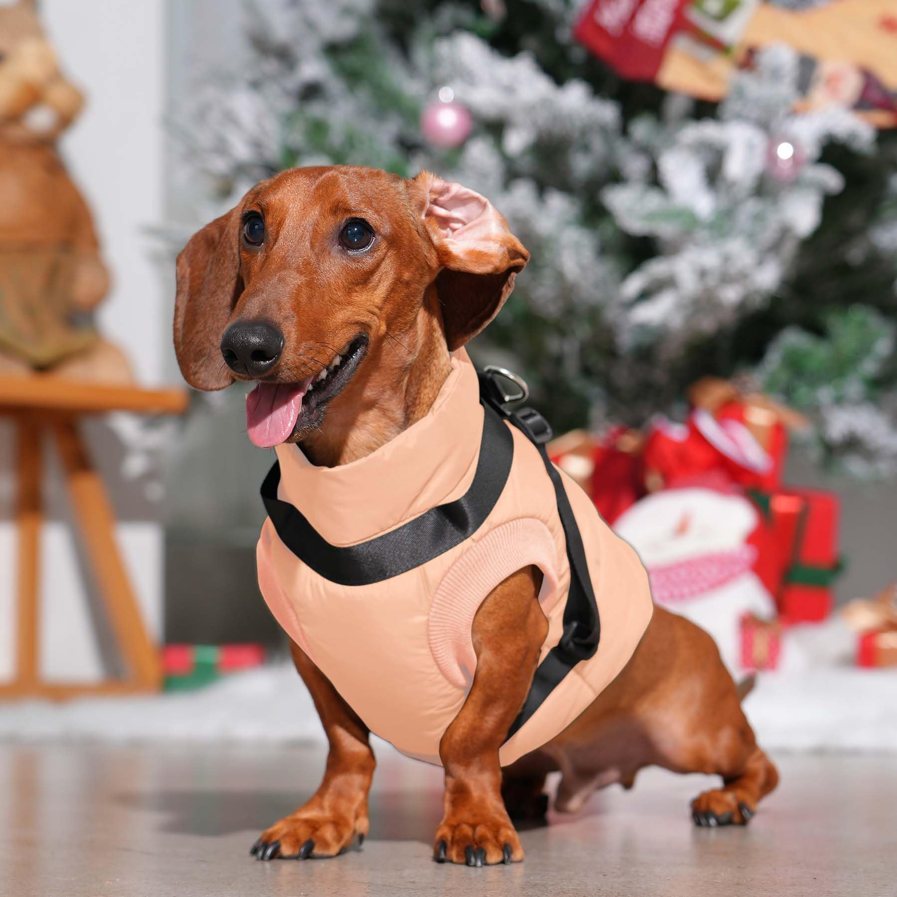 Joydaog Dog Jacket With Harness,Fleece Lined Warm Puppy Coat For Winter,Soft Windproof Large Dog Vest,Lightorange Xxxl