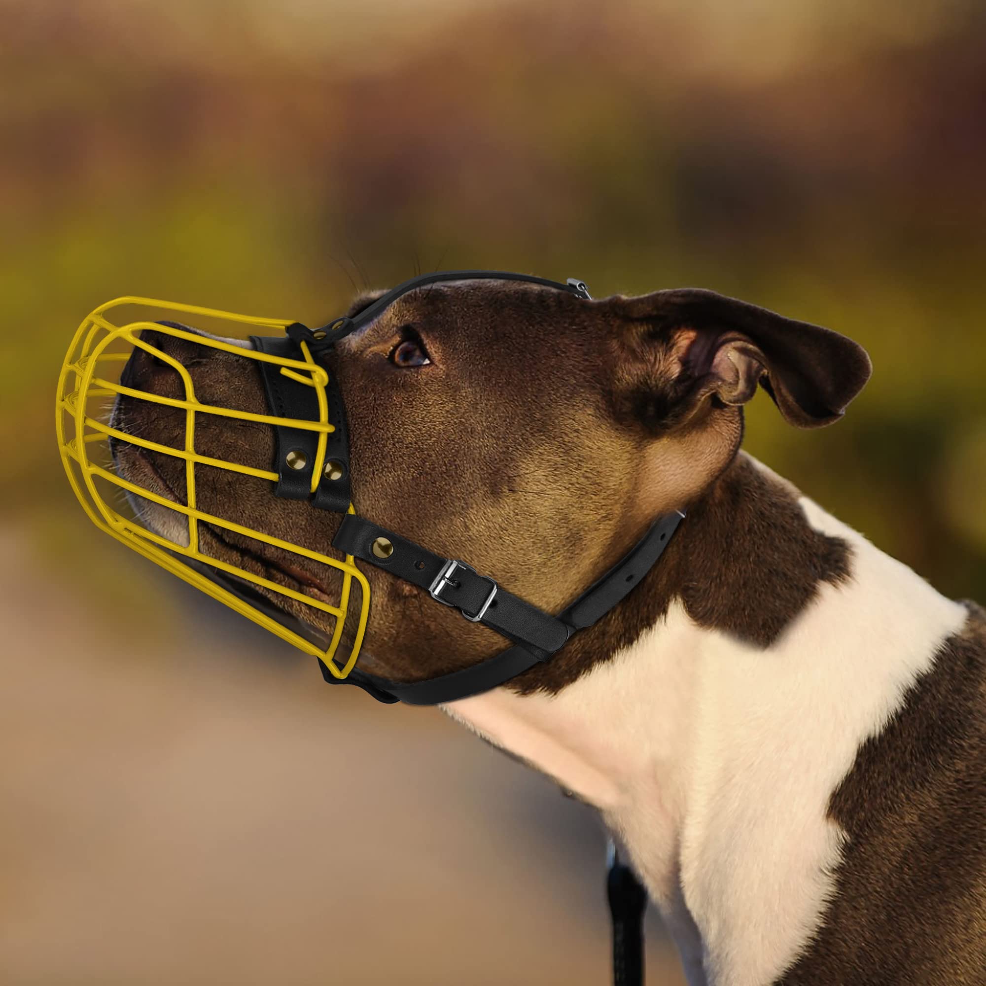 Pitbull Dog Muzzle Metal Mask Amstaff Secure Wire Basket Adjustable Durable Leather Straps For Large Dogs (Large, Steel)