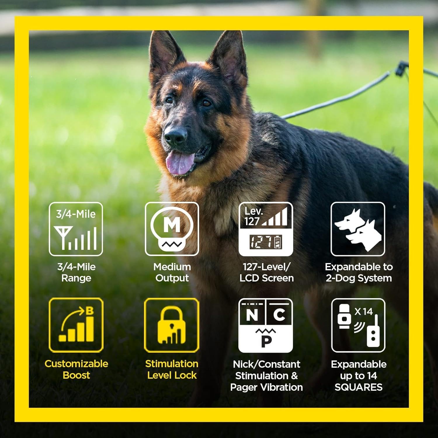 Dogtra ARC HANDSFREE Plus Boost and Lock, Remote Dog Training E-Collar, HANDSFREE Square for Discreet Control, Waterproof, Recha