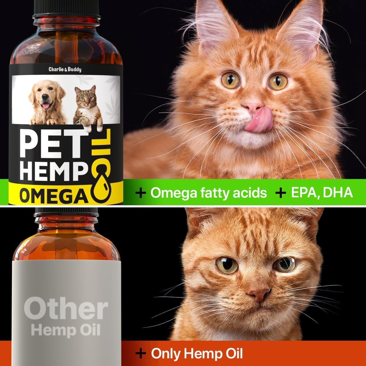 Charlie&Buddy H?mp and Salmon Oil for Dogs Skin and Coat H?alth - 3, 6, 9 Omega Pet H?mp Oil for Dogs and Cats, Rich in Vitamins