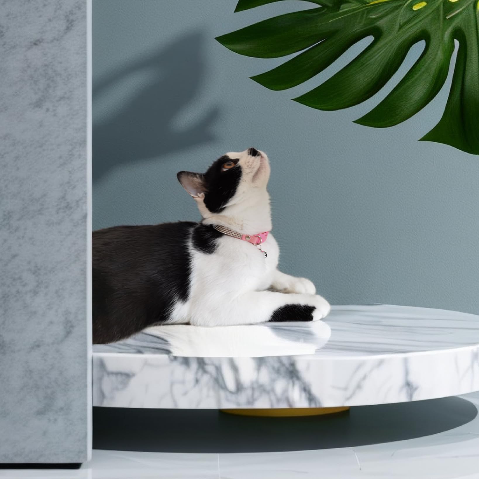 Rhinestone Cat Collar Breakaway With Bell Safety Buckle, Adjustable Diamond Girl Boy Kitty Cute Comfy Collar For Kitten Tiny Lit