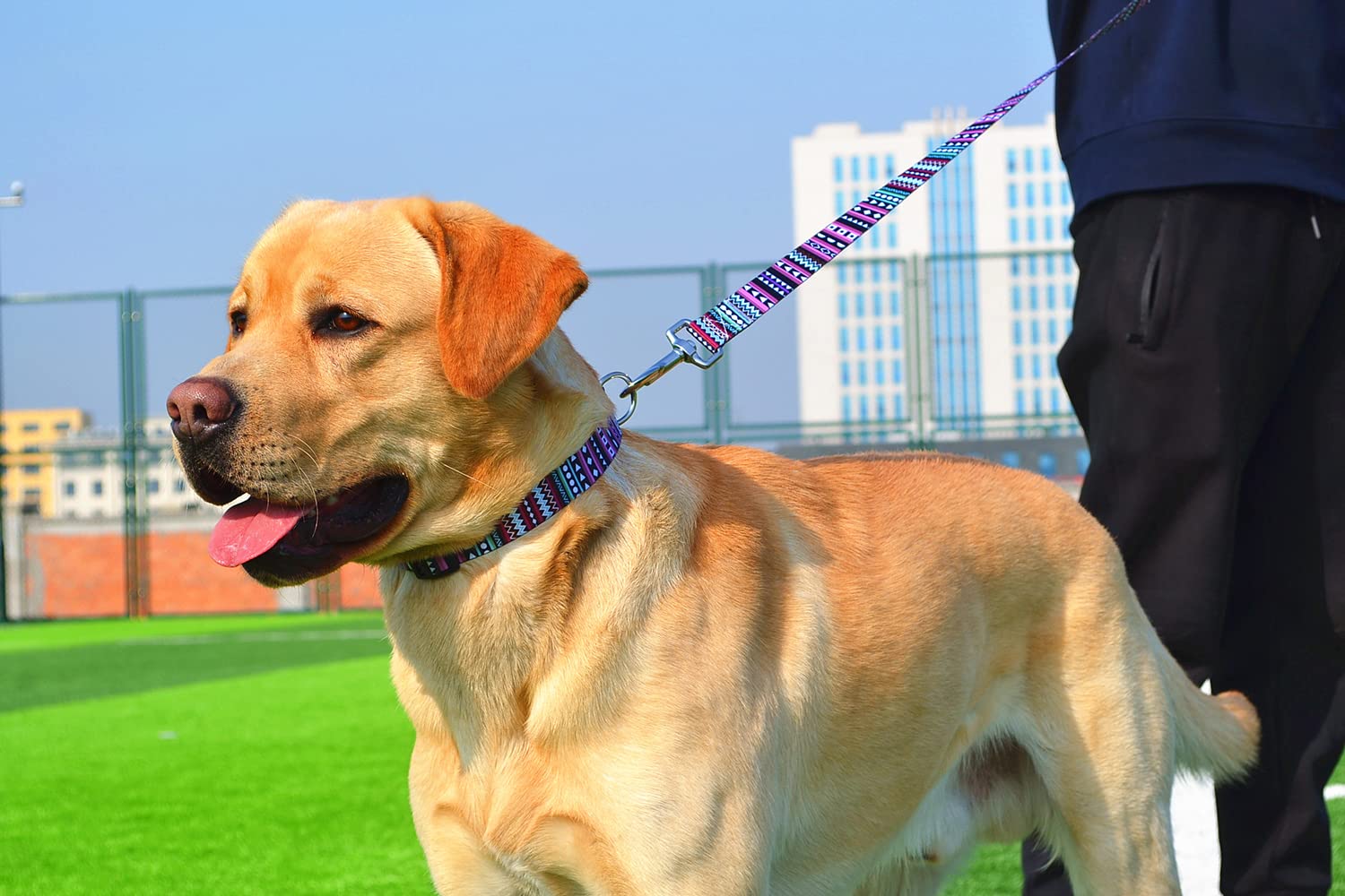 Mihqy Dog Collar And Leash Set With Bohemia Floral Tribal Geometric Patterns - Soft Ethnic Style Collar Adjustable For Small Medium Large Dogs(Bohemian Purple Set,L)