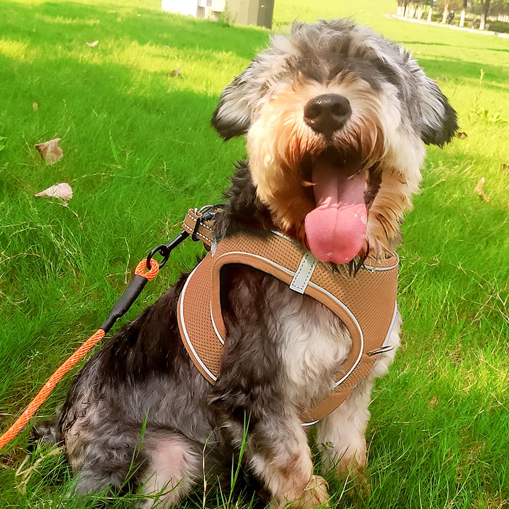 Joytale Step In Dog Harness,12 Colors,Breathable Mesh Vest Harness,Reflective Soft Padded Harnesses For Small And Medium Dogs,Brown,L