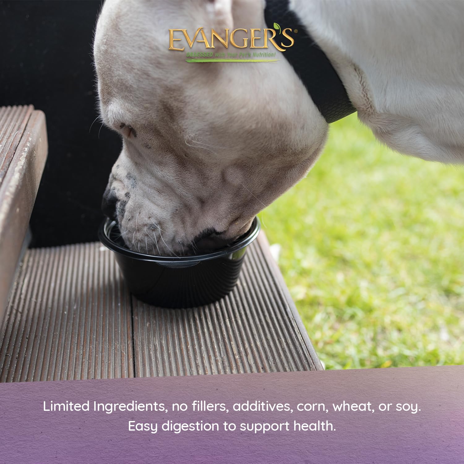 Evangers Organics Beef Dinner for Dogs - 12, 12.5 oz Cans