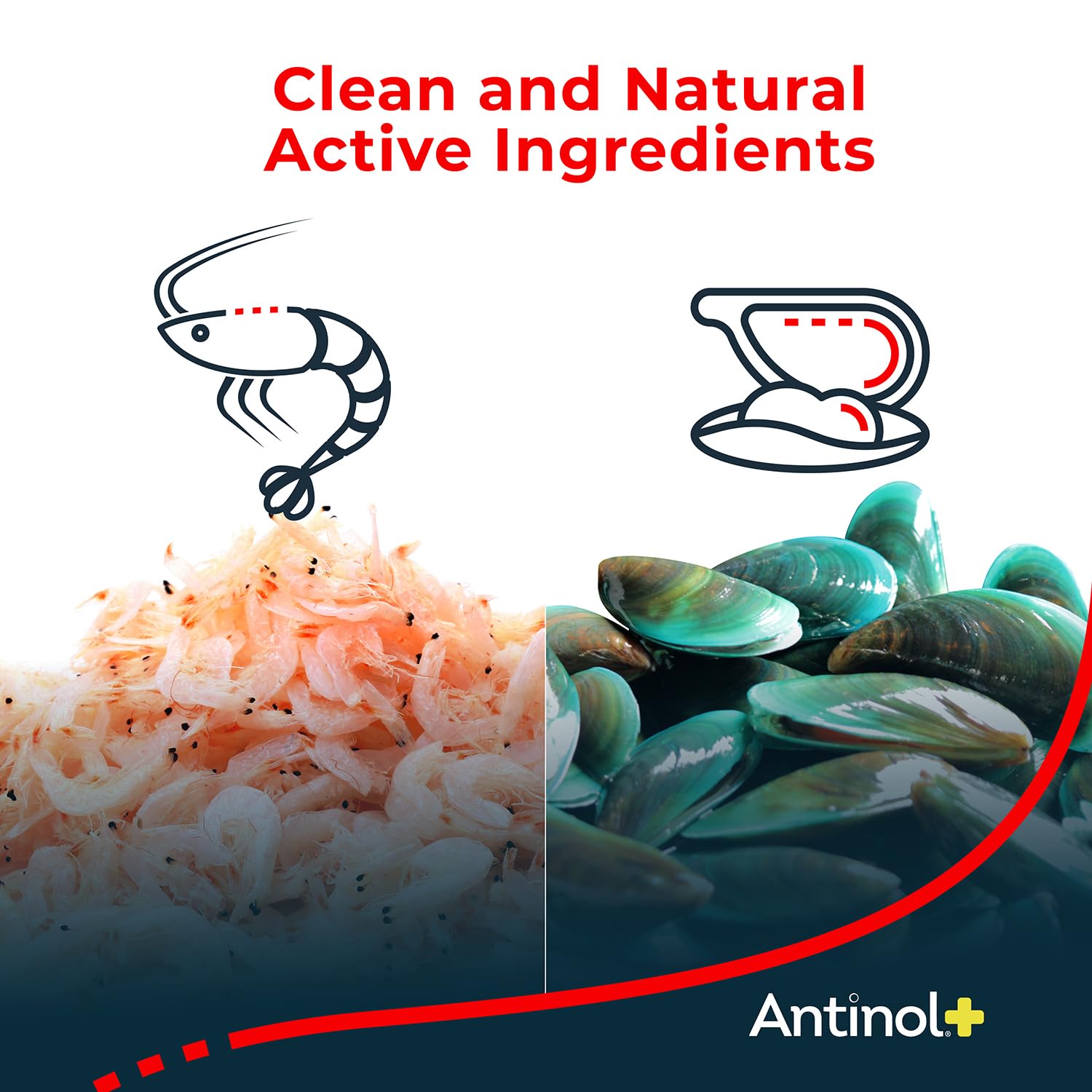 Antinol Plus Dog Joint Supplement - Mobility, Green-Lipped Mussels & Krill Oil - 120 Soft Gels, Orange