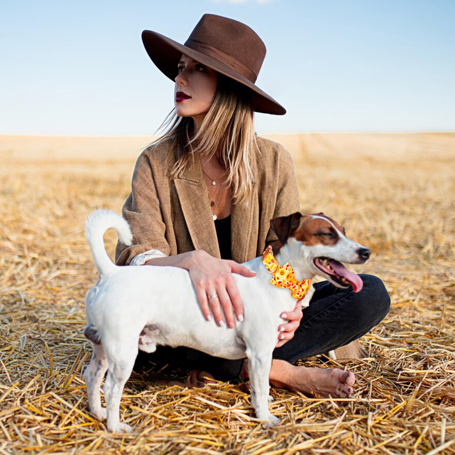 Tunkoo Sunflower Dog Collar With Elegant Bow Tie - Ajustable Orange Puppy Collar Floral Pattern Stylish And Charming Fall Pet Ac
