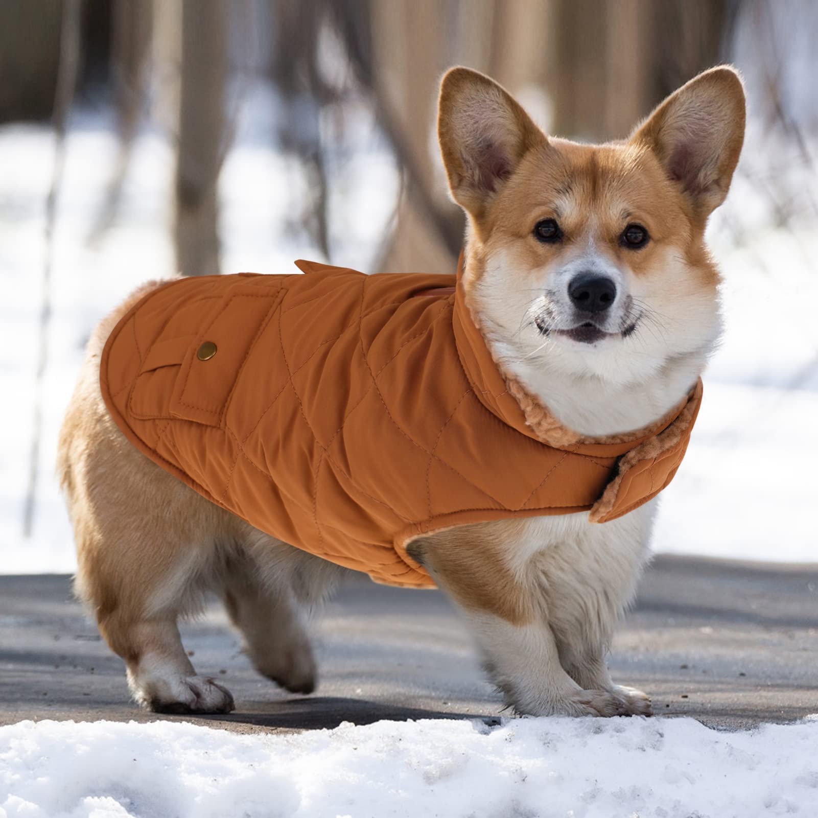 Queenmore Cold Weather Dog Coat, Winter Quilting Dog Jacket Ultra Warm Thick Plush Lining With Storage Pockets (Brown, X-Small)