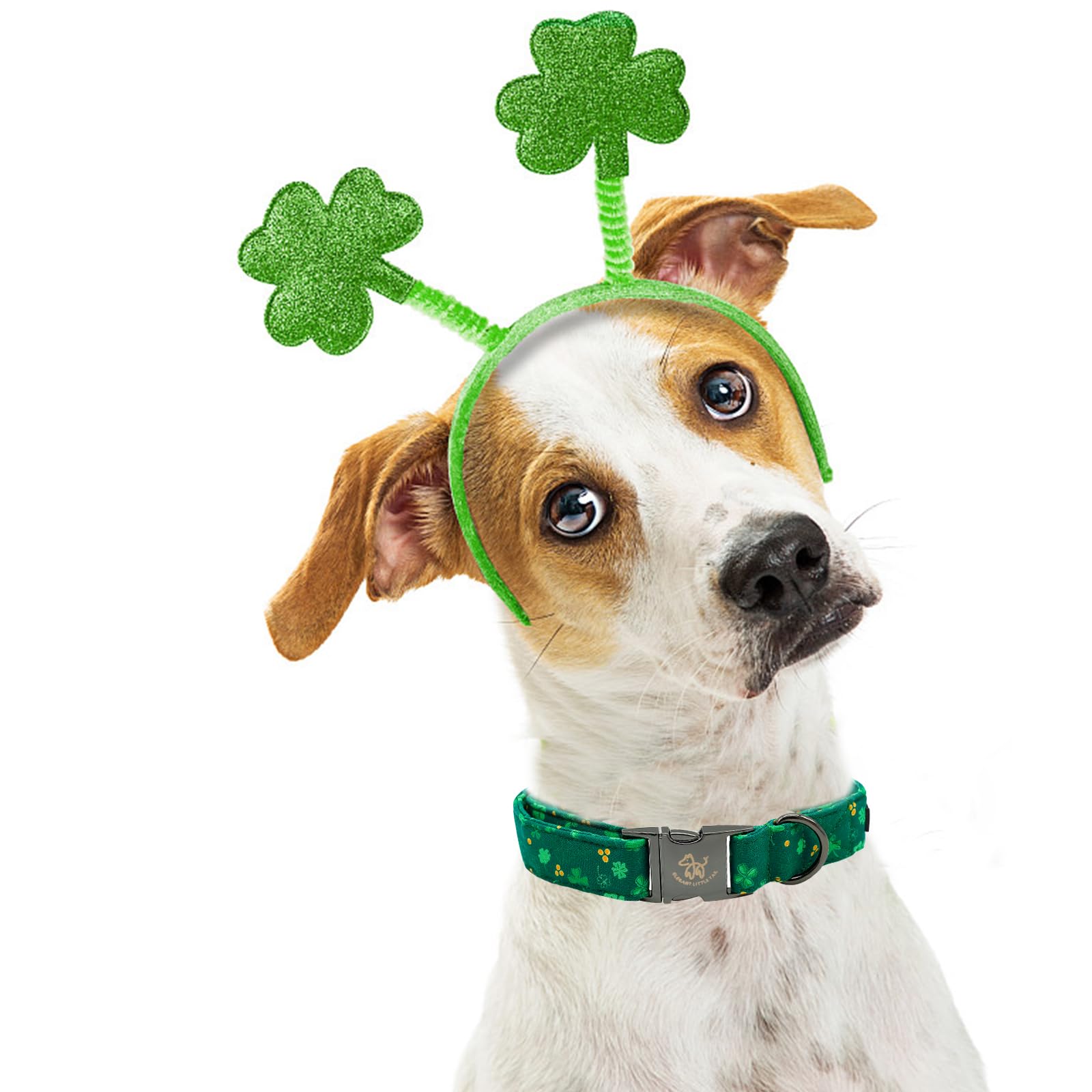 Elegant Cute Puppy Dog Collar, St Patrick's Day Green Clover Collar for Medium Dogs