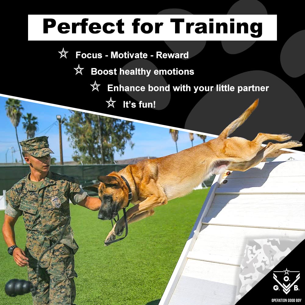 Operation Good Boy Chicken Dog Treats - 1 High-Protein Training Squares, Natural Farm-Raised Meat for Medium to Large Dogs - Ser