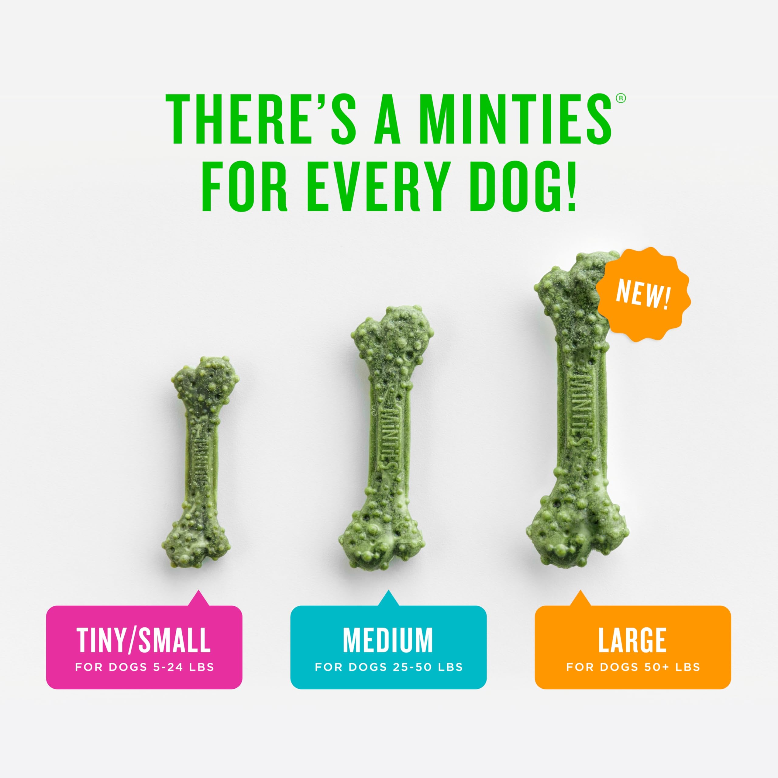 Minties Dental Chews for Dogs, 60 Count, Vet-Recommended Mint-Flavored Treats for Medium Dogs 25-50 lbs, Bones Clean Teeth, Figh