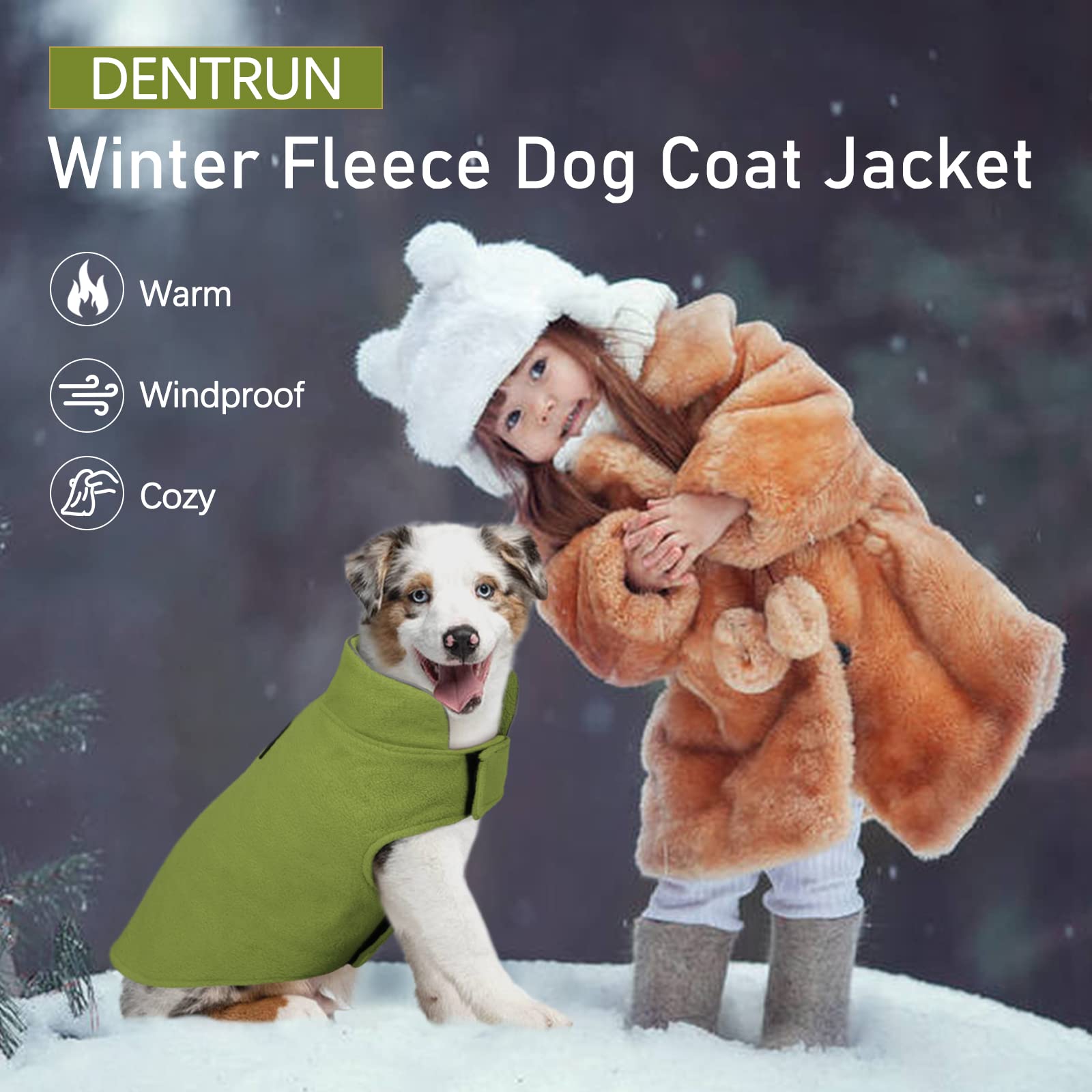 Dentrun Windproof Winter Warm Fleece Small Dog Coat Reversible Puppy Jacket Reflective Soft Pet Vest, Cold Weather Dog Sweater Apparel Leash Access Overcoat For Small Breeds, Green, Xs