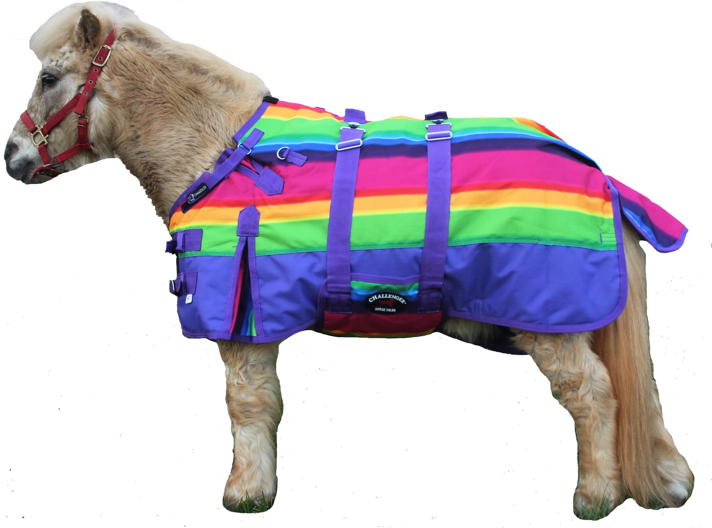 Challenger 58' 1200D Miniature Weanling Donkey Pony Horse Foal Winter Blanket Rainbow 51968B